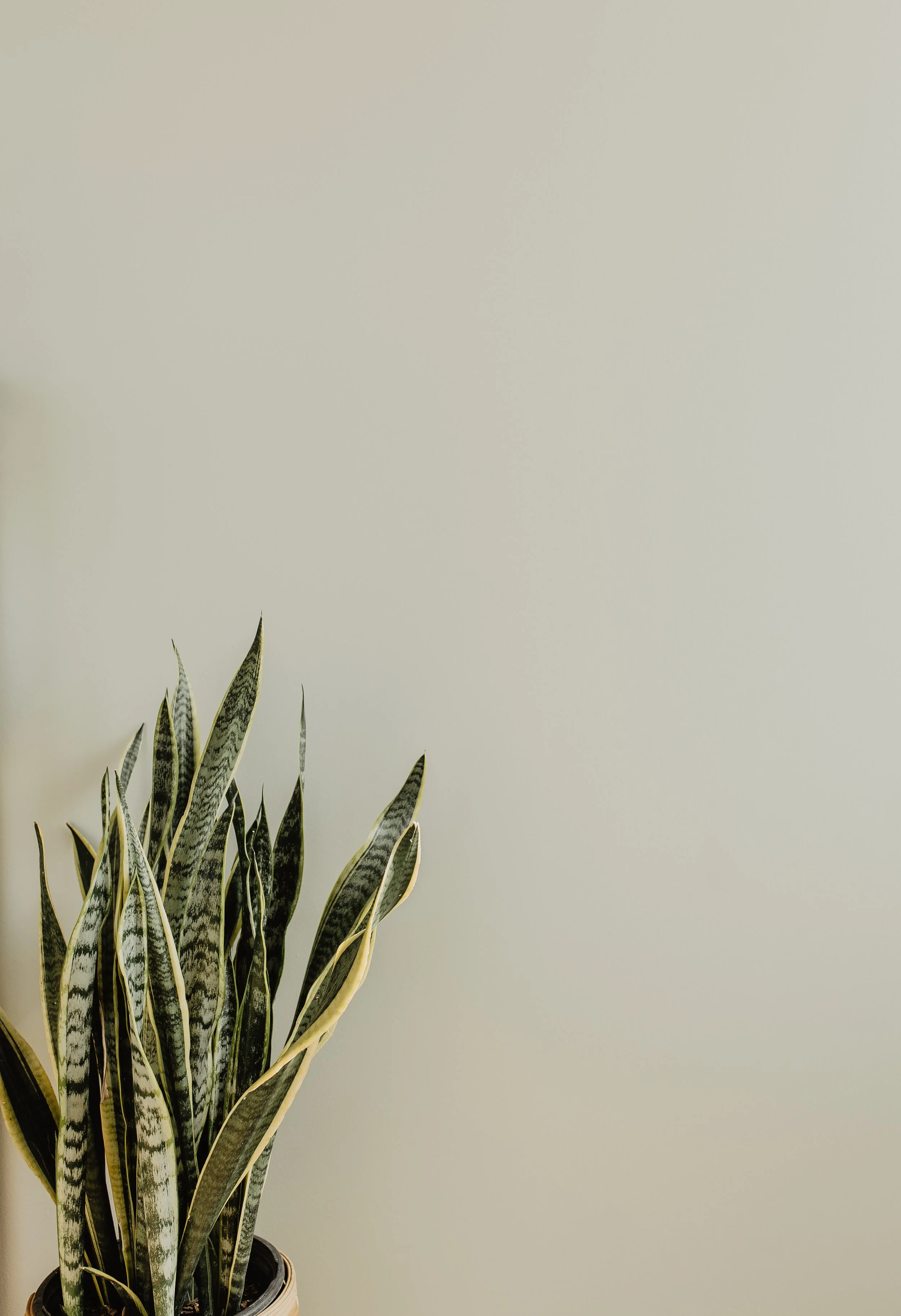 15-Minute Consultation