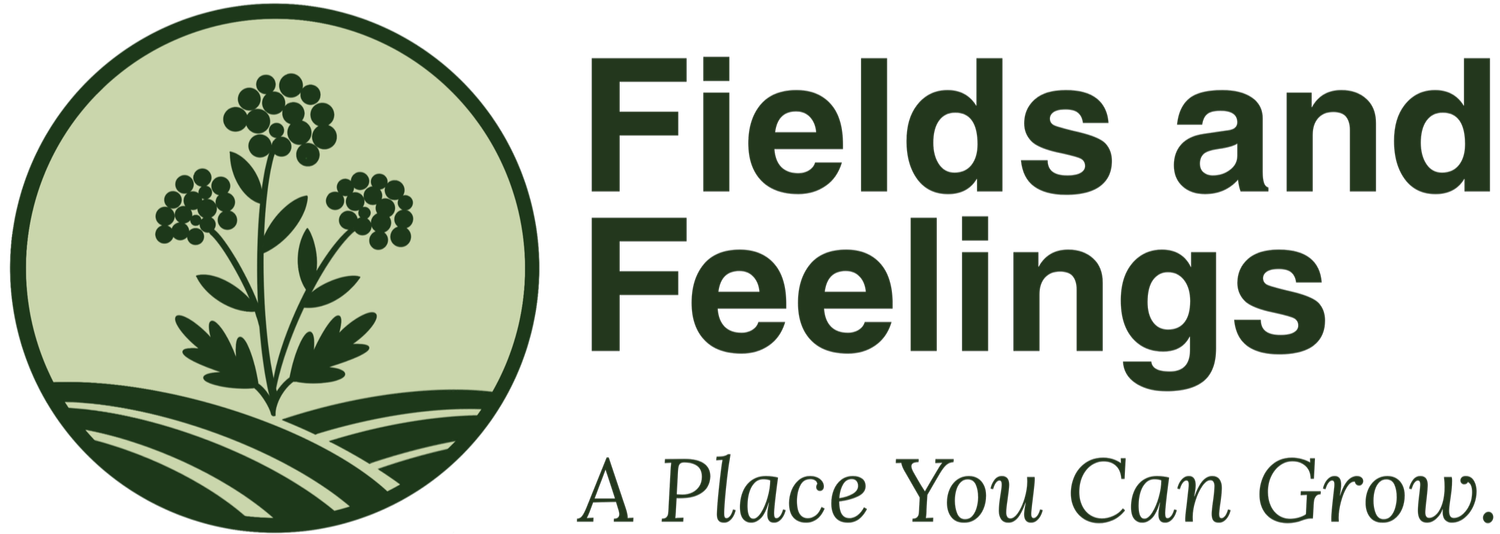 Fields and Feelings
