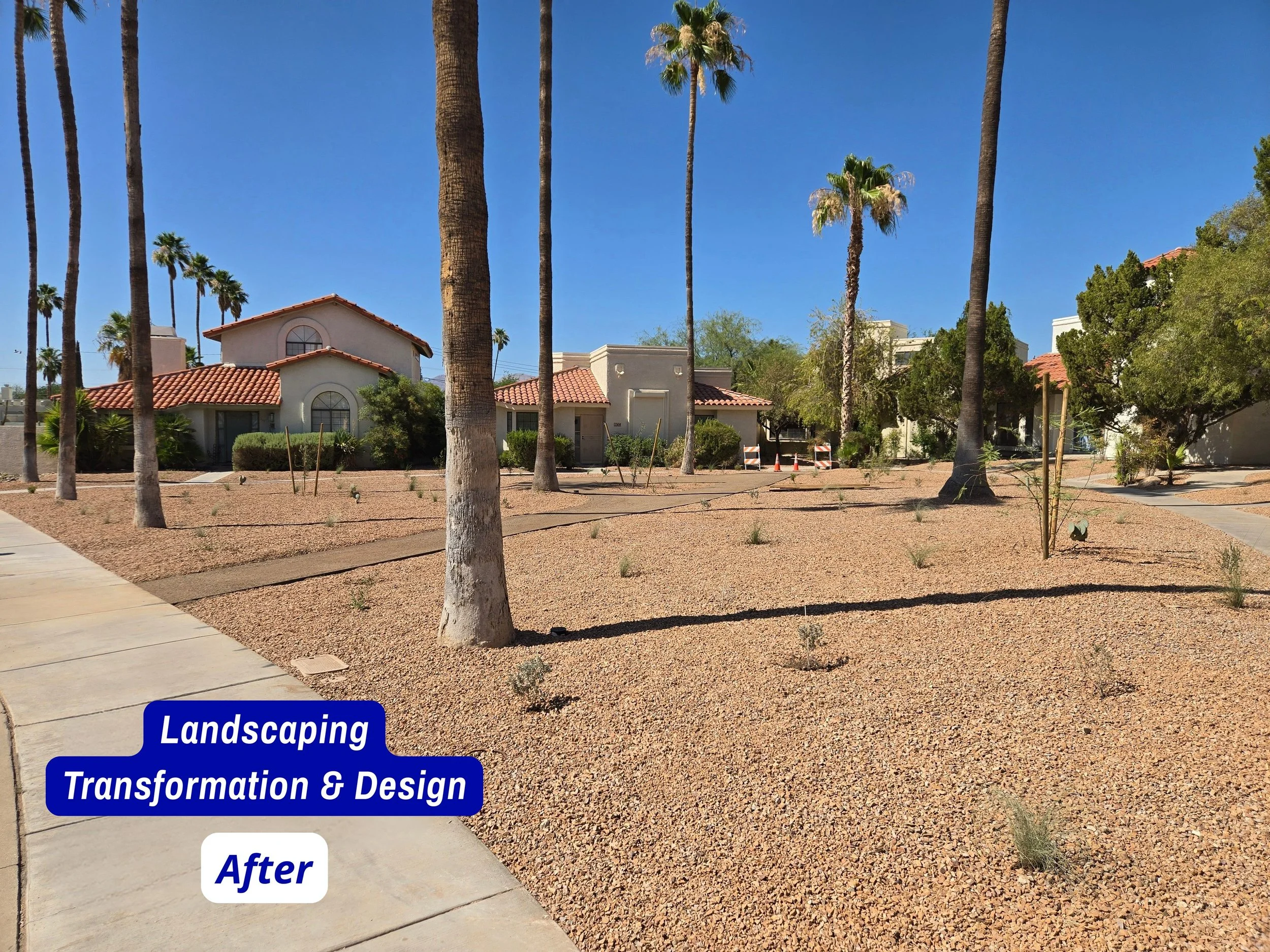 landscaping Transformation Before.jpg