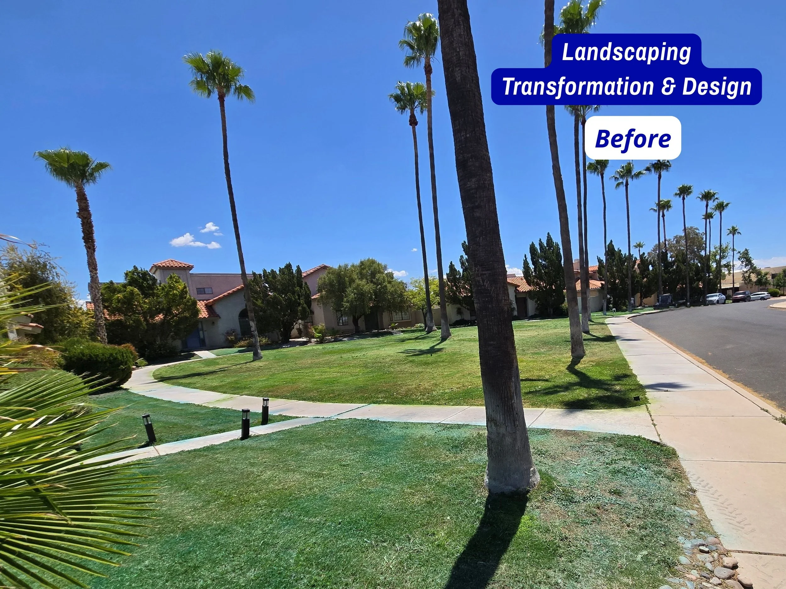 landscaping Transformation Before (1).jpg