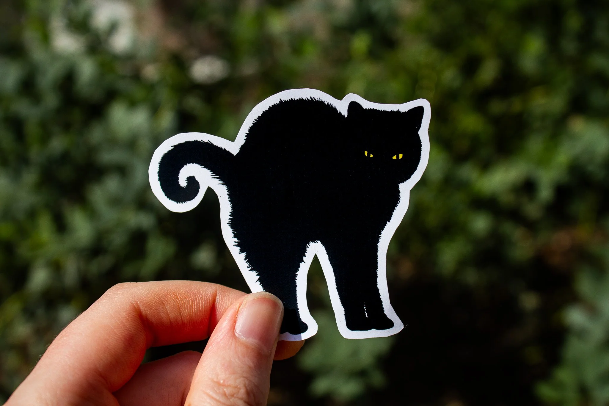Chunky Spooky Cat Sticker.jpg
