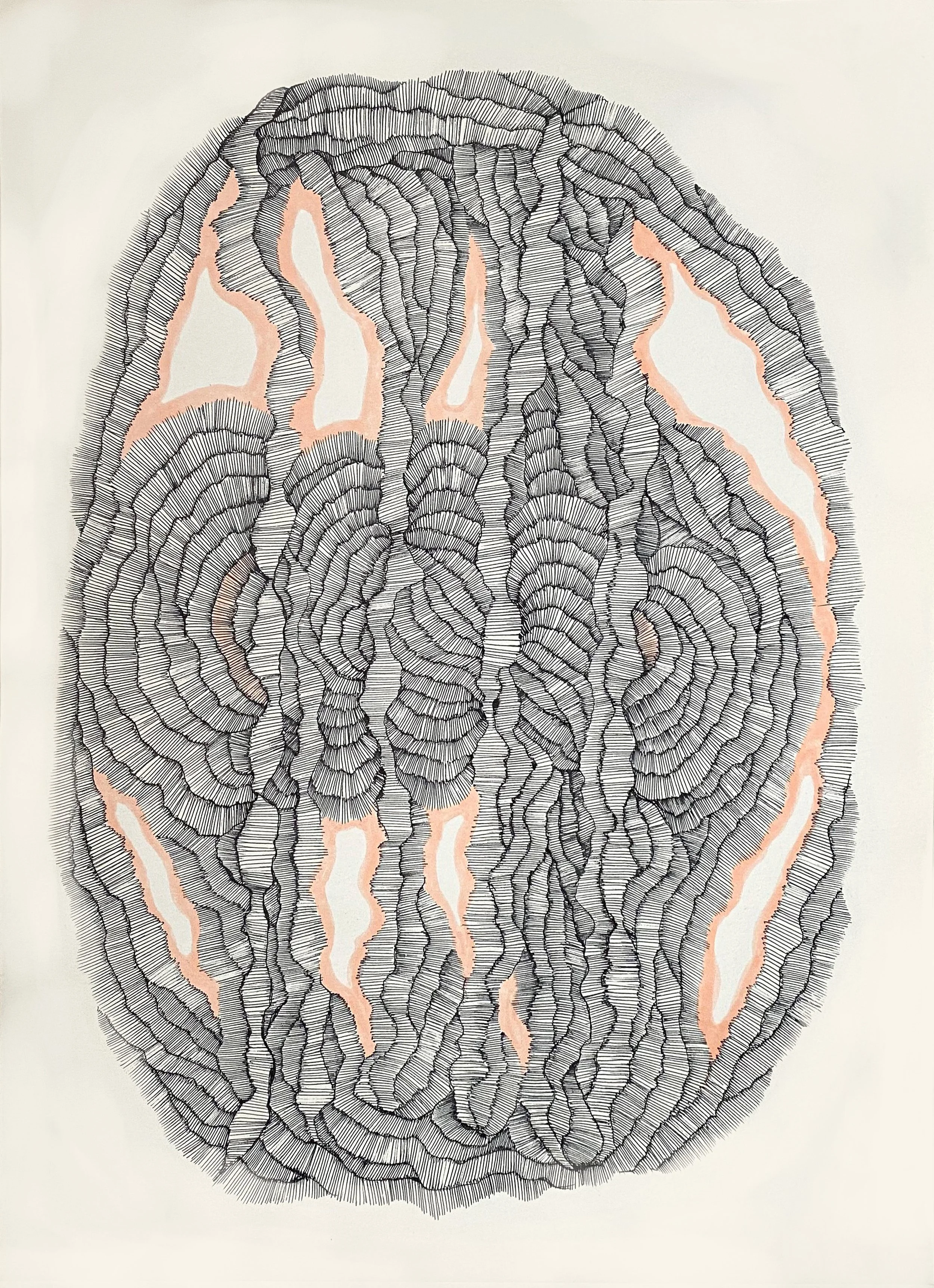 A1,  2025  Ink on paper
40 × 30 cm