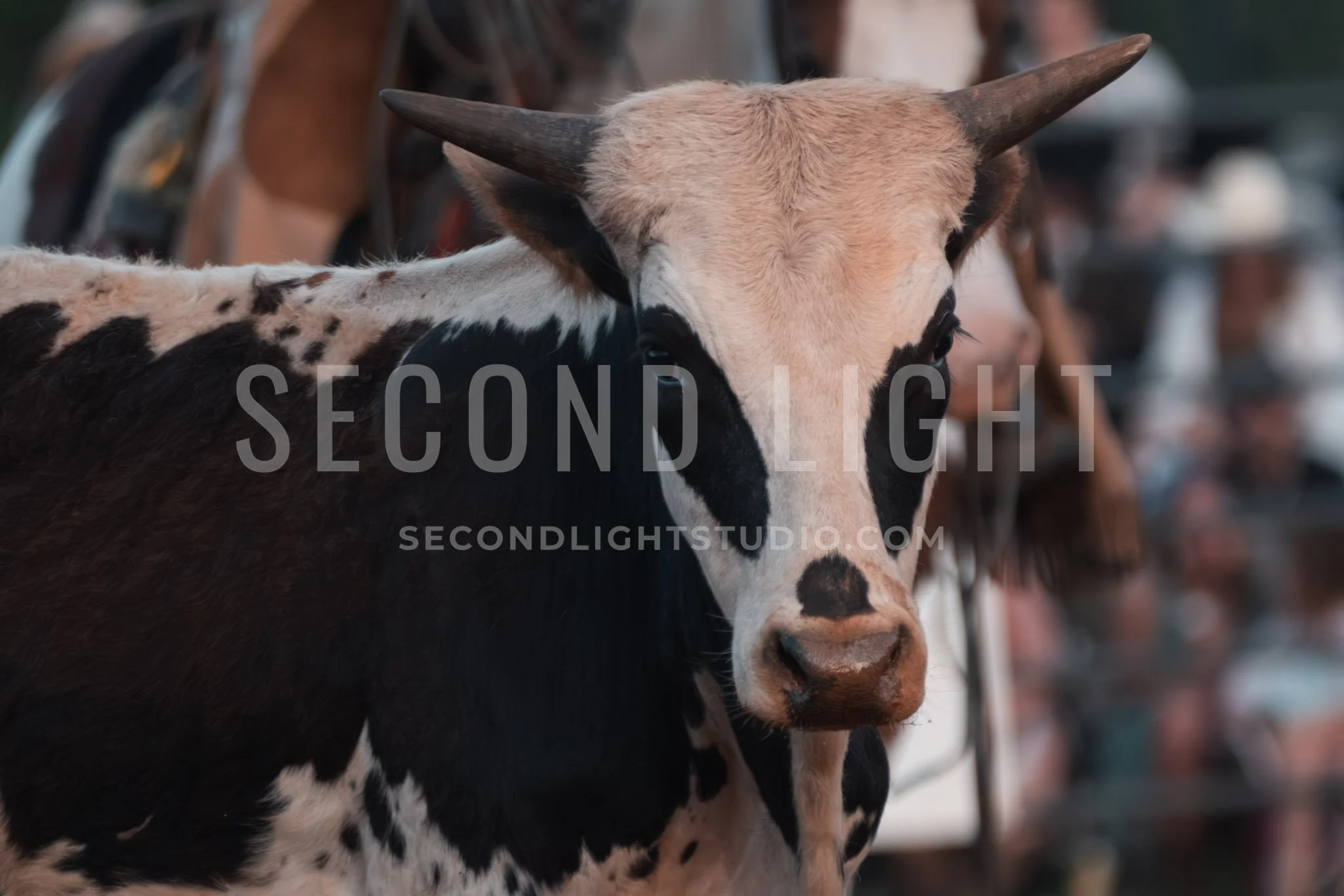 SecondLight_Rodeo_002.jpg-115.jpg