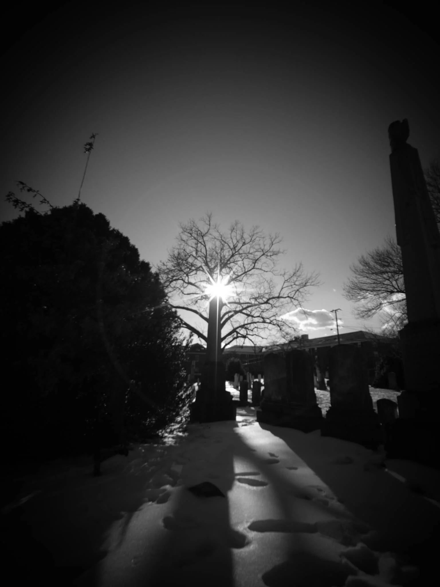 Black and white photo of a cemetery with snow on the ground, a leafless tree in the center, and the sun shining through its branches. Shadows cast by tombstones extend across the snow.