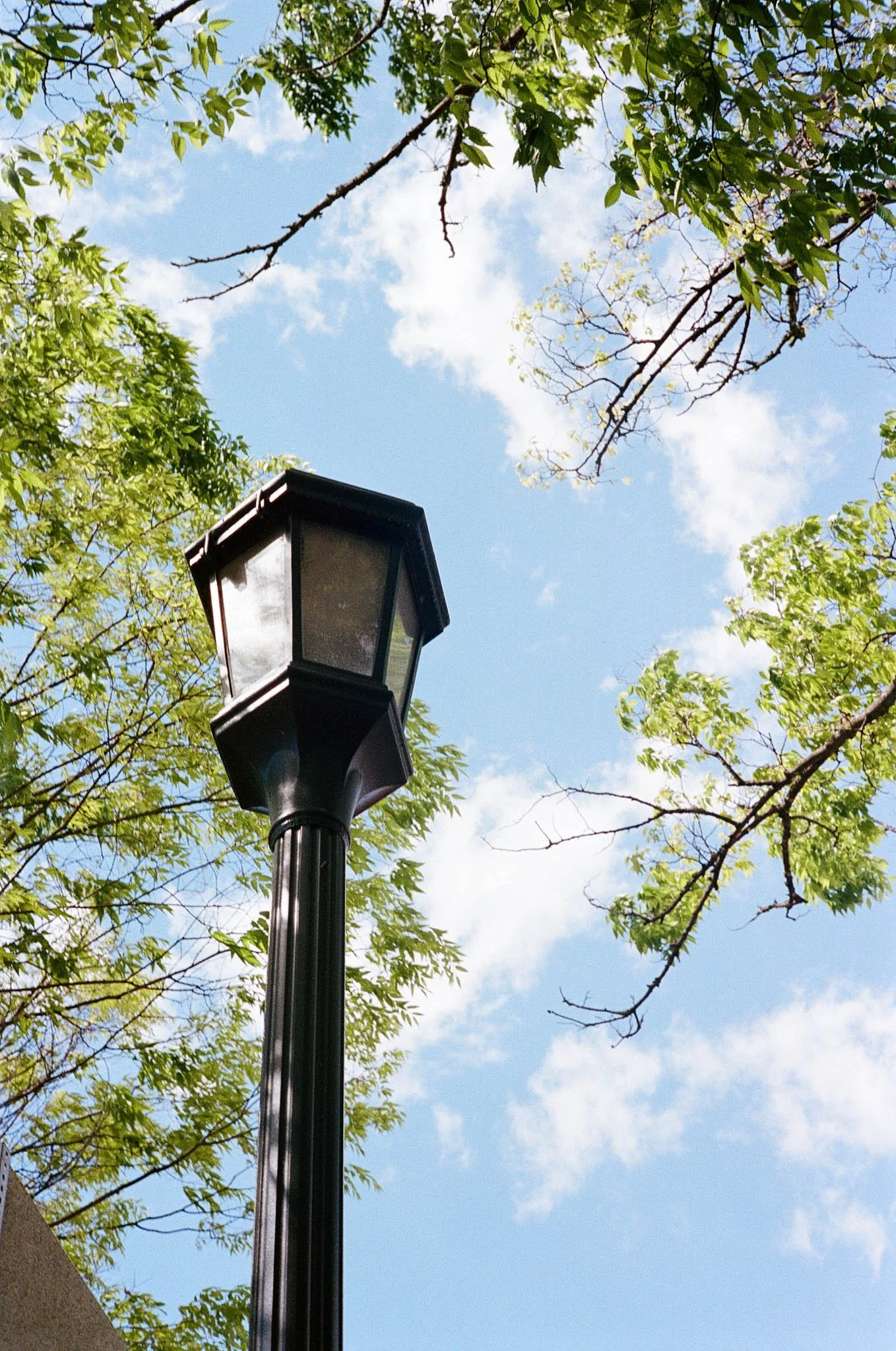 A lamppost surrounded by green trees against a blue sky with clouds.