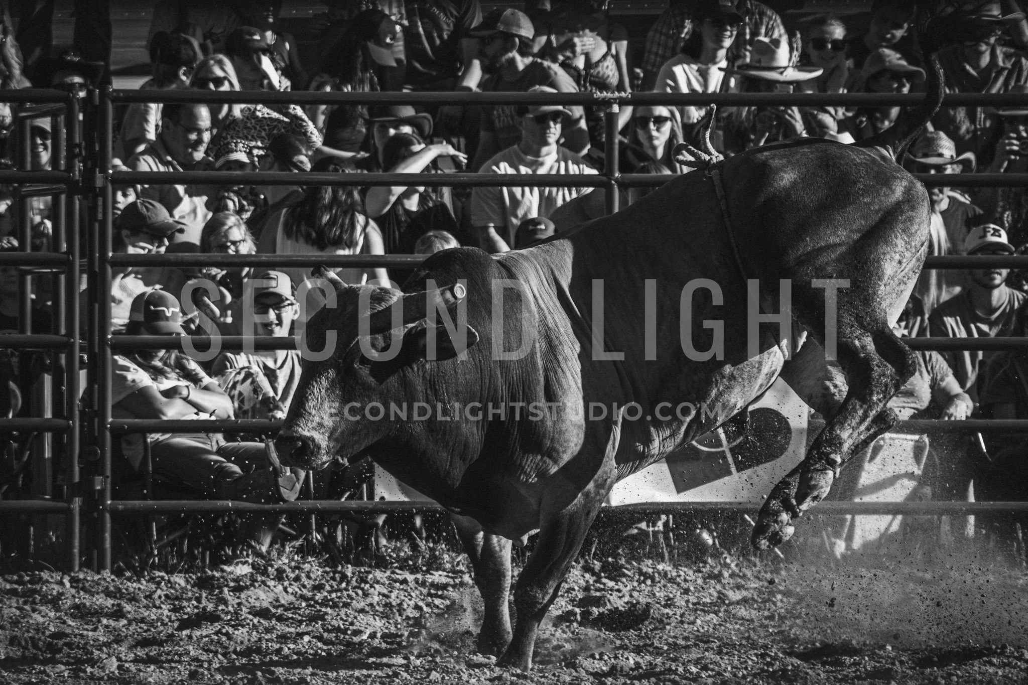 SecondLight_Rodeo_002.jpg-51.jpg