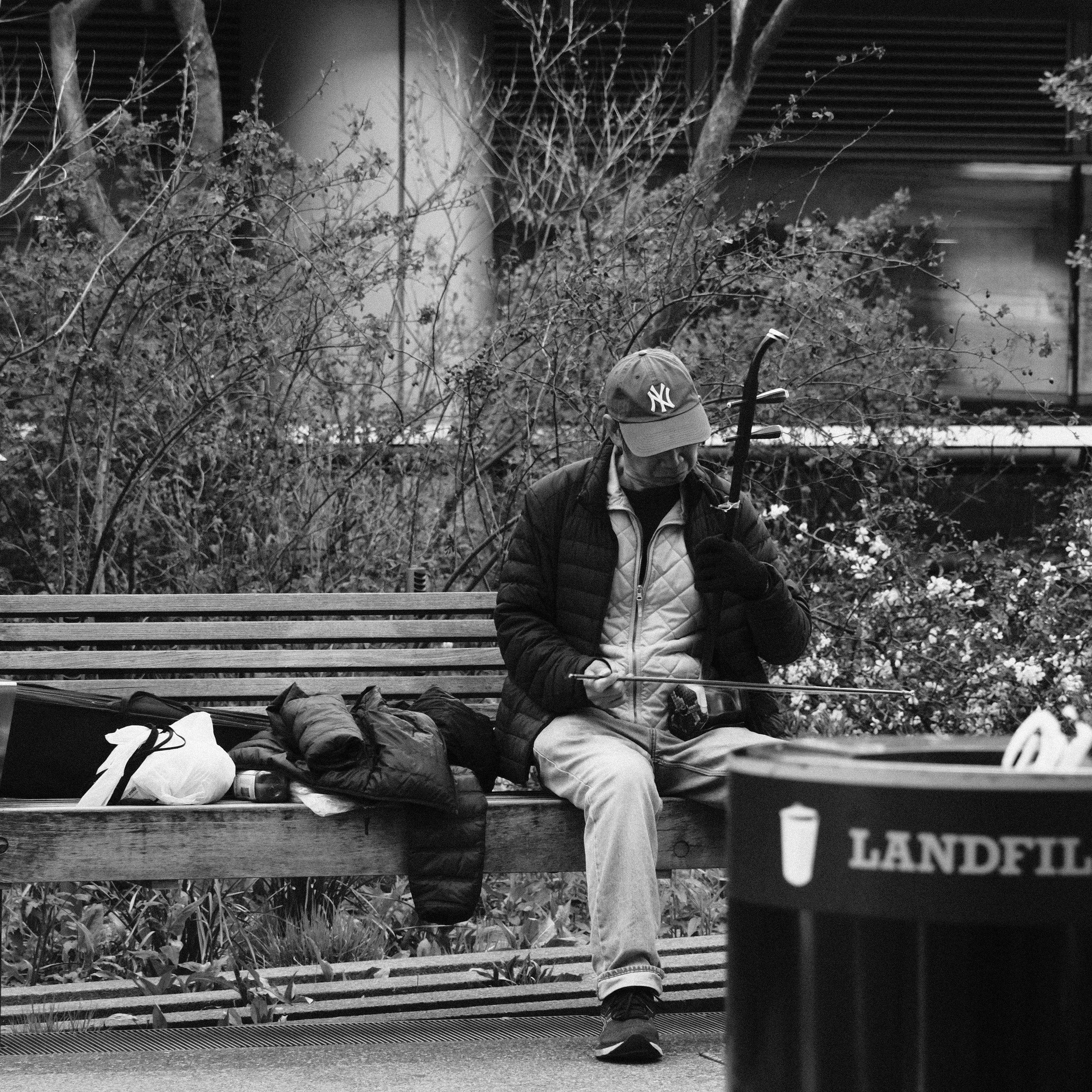 A man sitting on a park bench, wearing a New York Yankees cap and a jacket, holding a fishing rod, with belongings placed beside him, in front of bushes and plants.