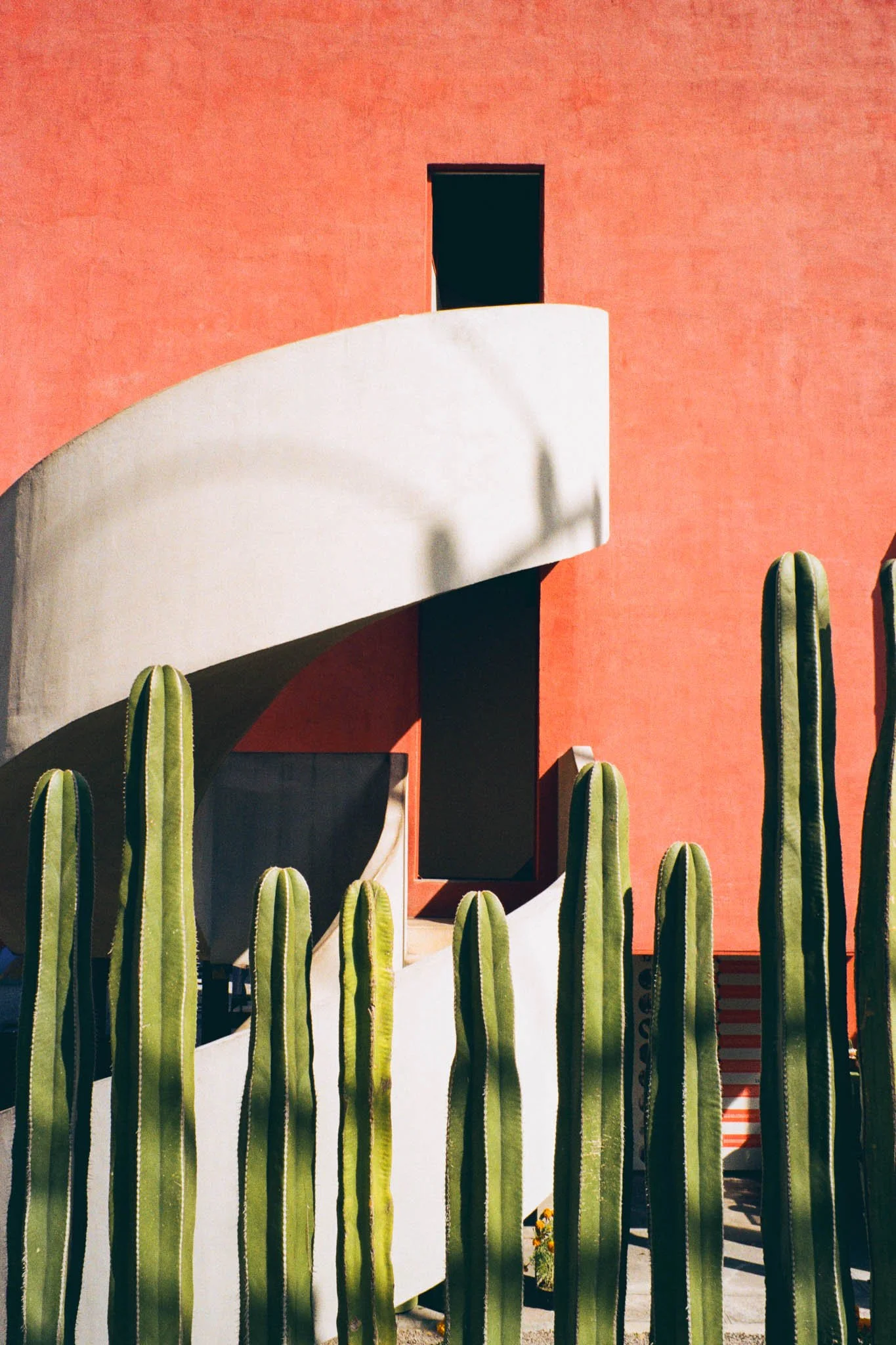Modern building with a white spiral staircase, a small dark window, and cacti in the foreground against a bright orange wall.