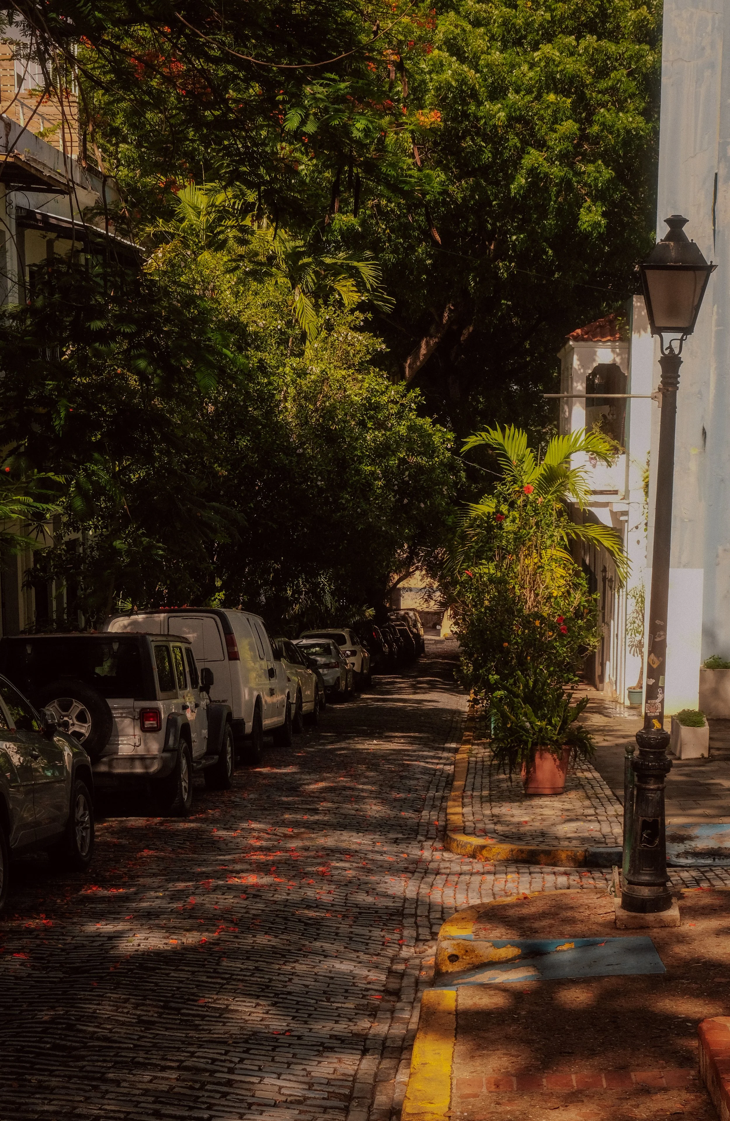 A narrow cobblestone street shaded by large leafy trees with parked cars on the left, potted plants, a street lamp, and a building on the right side.