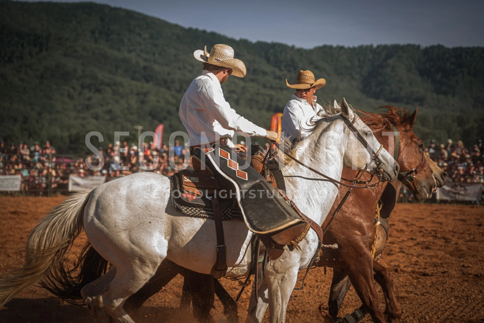SecondLight_Rodeo_002.jpg-15.jpg
