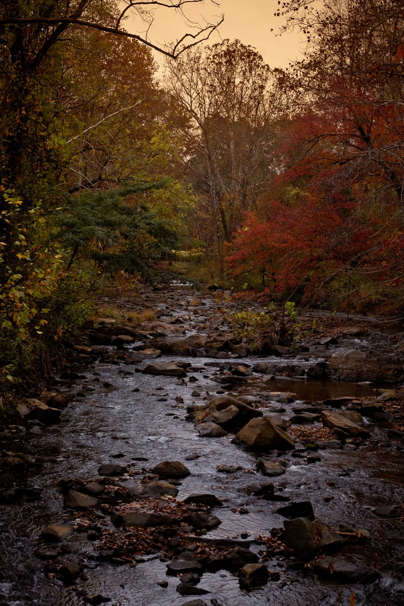 DSCF6961.jpg