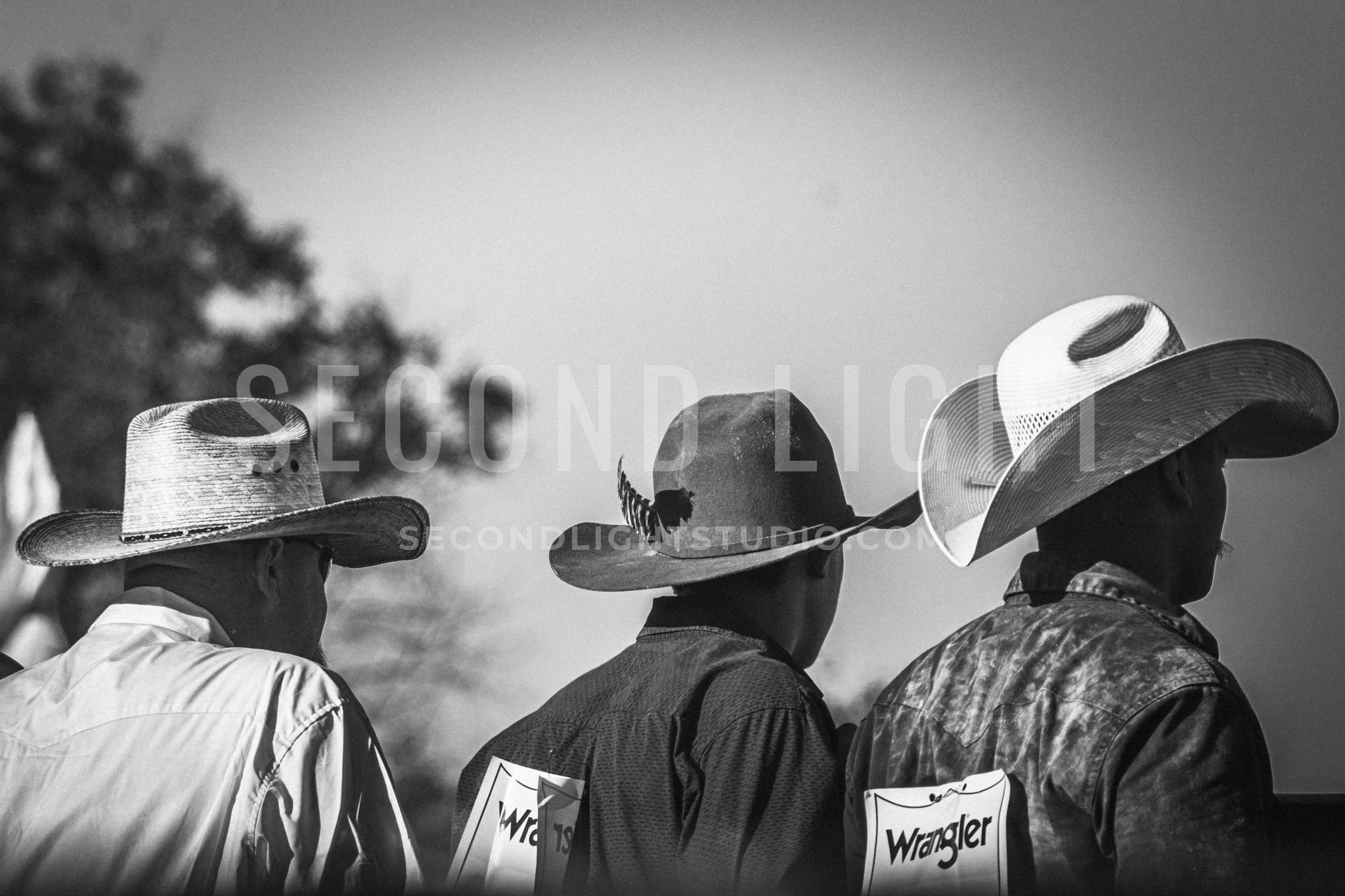 SecondLight_Rodeo_002.jpg-137.jpg