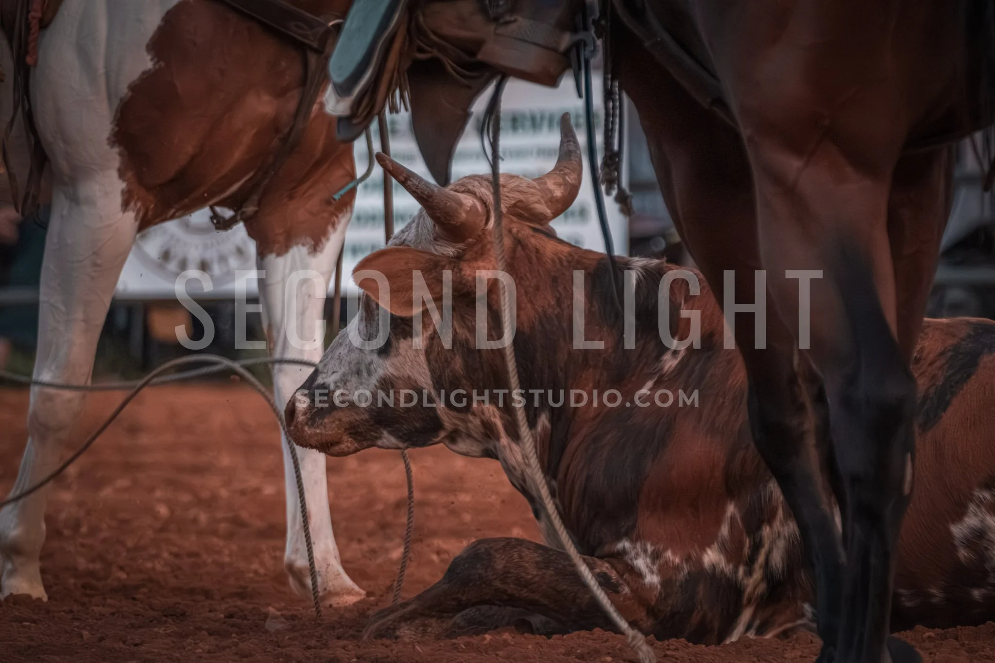 SecondLight_Rodeo_002.jpg-114.jpg
