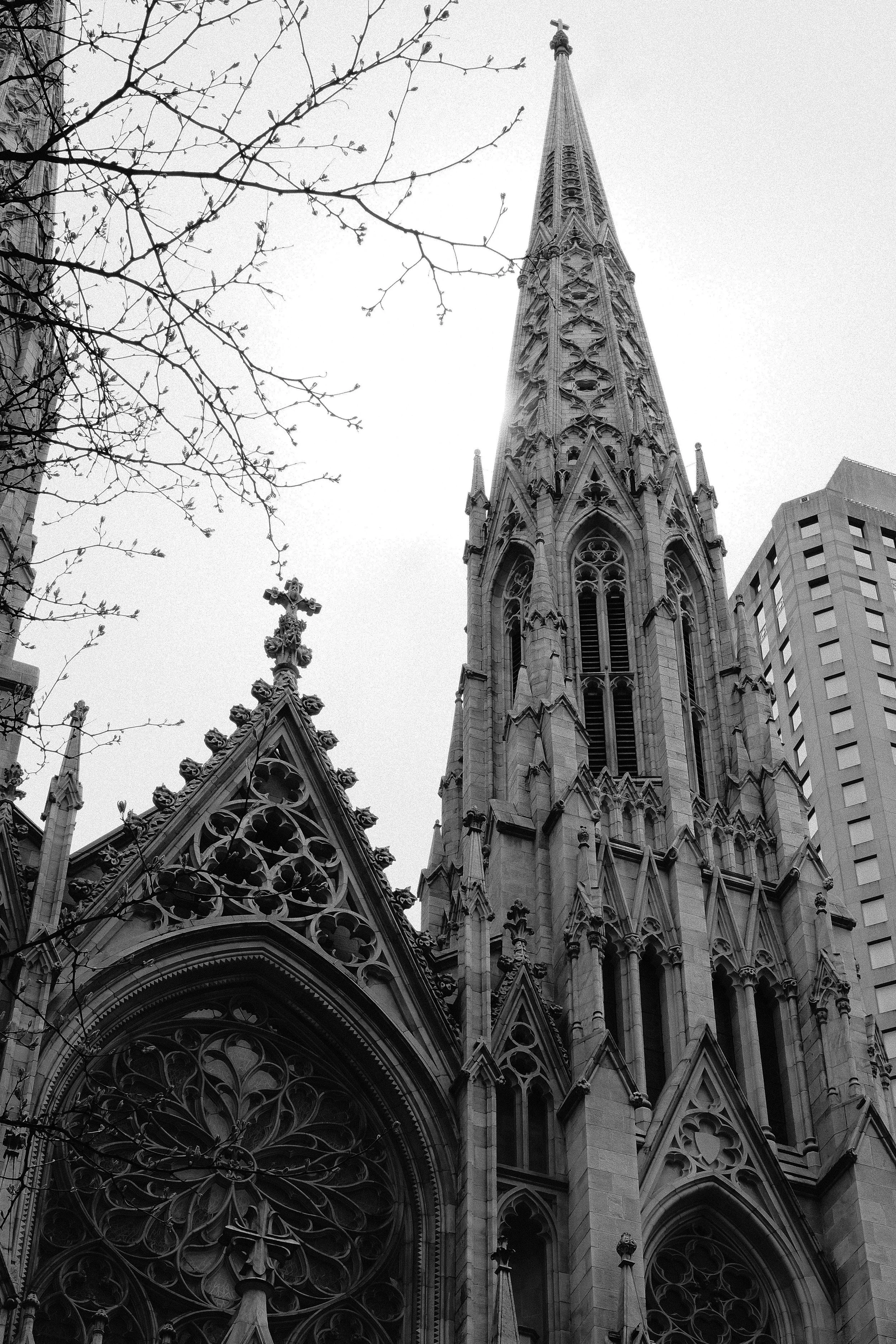 A black and white photo of a Gothic cathedral with a tall, ornate spire and detailed stone architecture, surrounded by leafless tree branches and modern buildings.