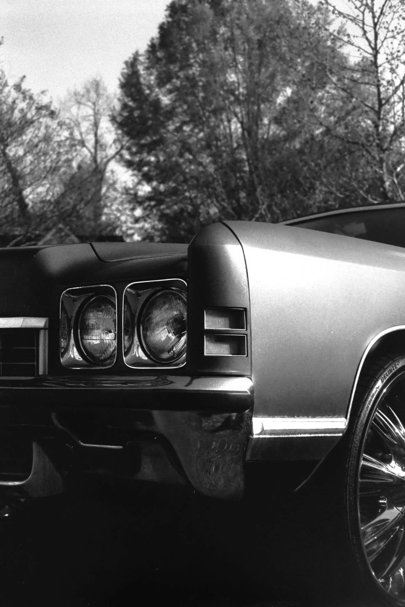 Close-up of front part of a vintage car with round headlights and a shiny rim, parked outside under trees in black and white.