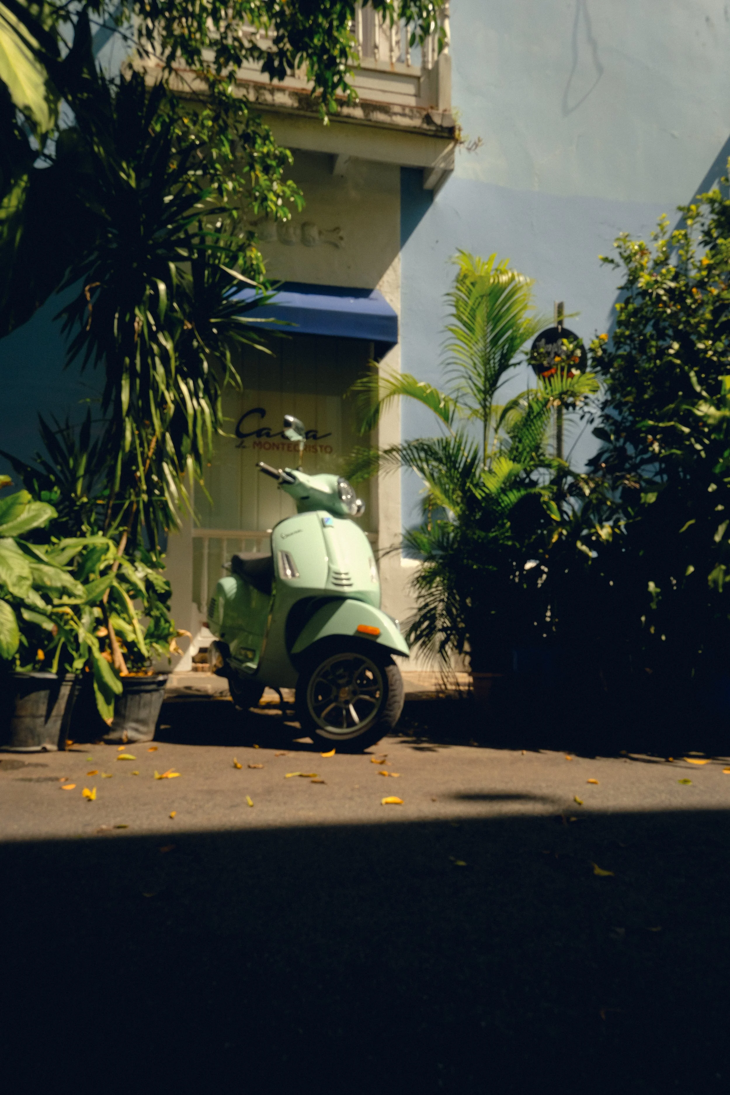 Mint green vintage scooter parked outside a small establishment with lush green plants around it.