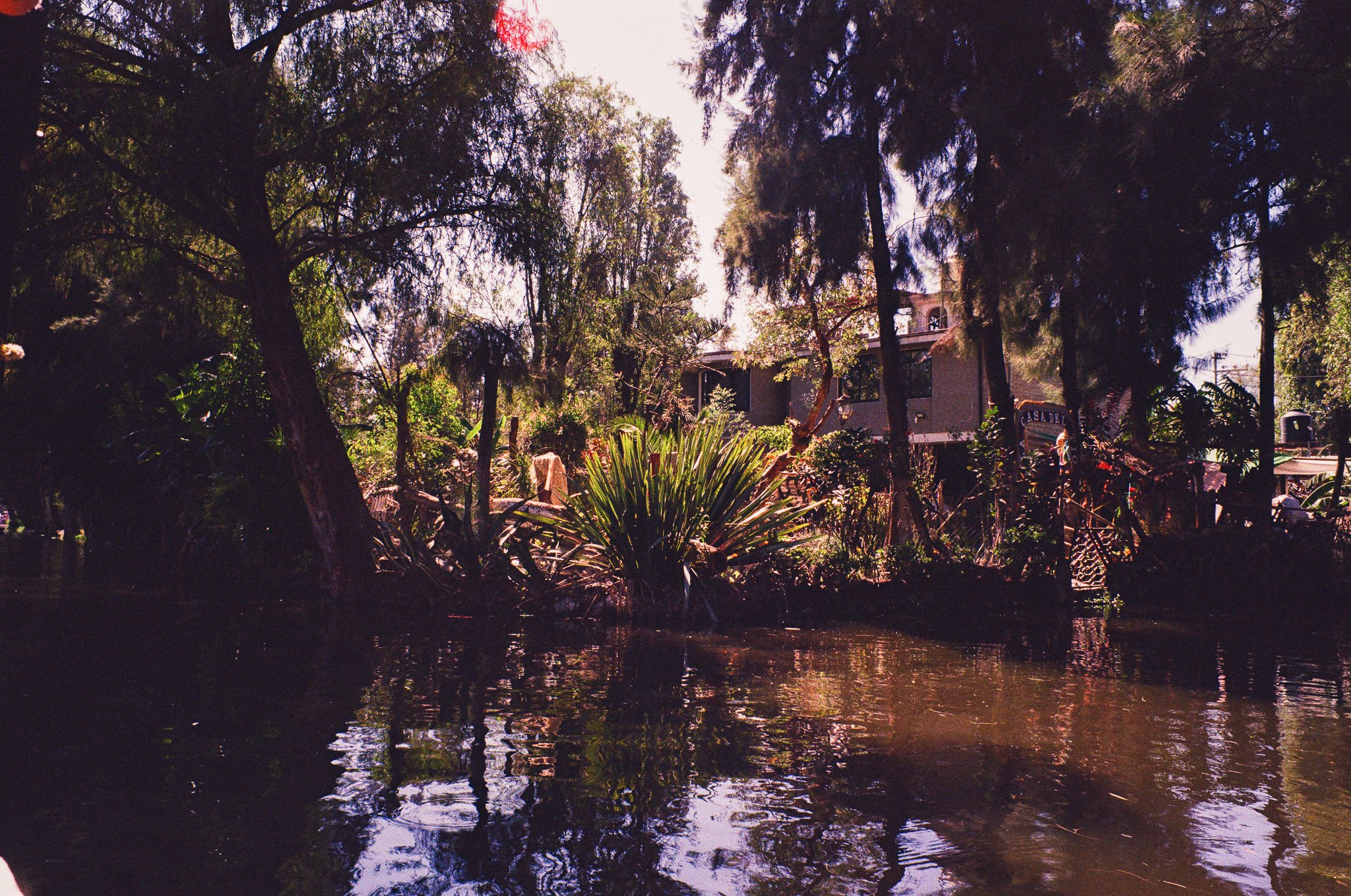 A peaceful scene of trees and plants along a waterway with a house in the background.