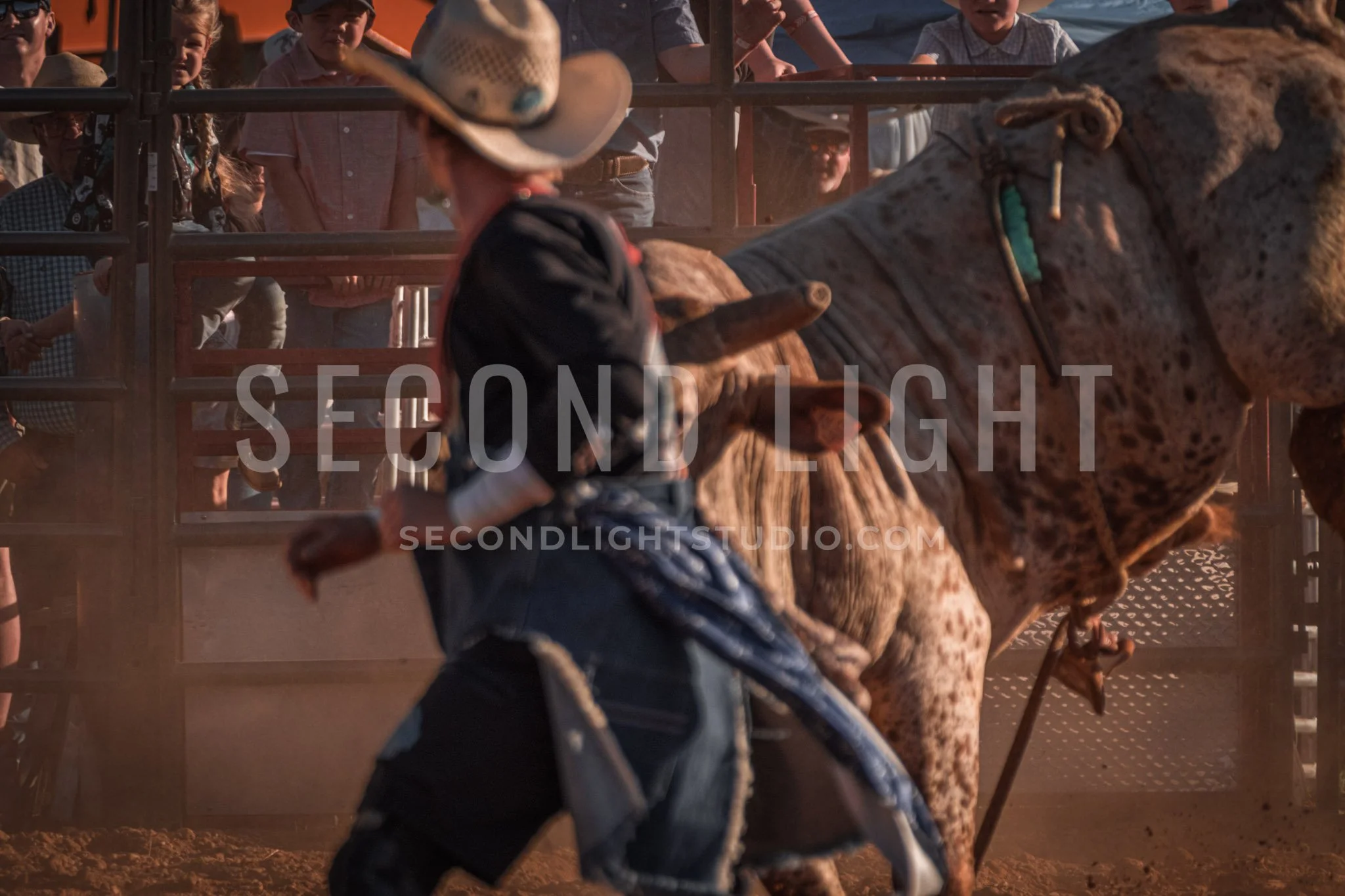 SecondLight_Rodeo_002.jpg-54.jpg