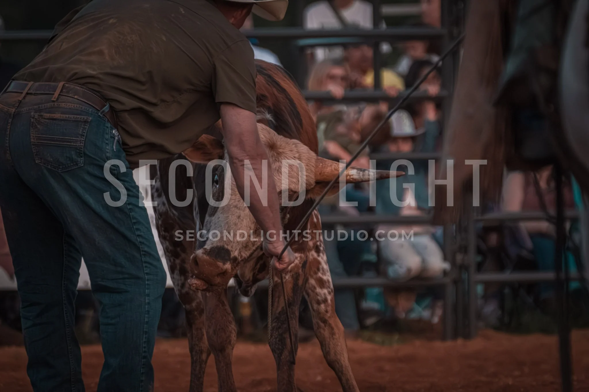 SecondLight_Rodeo_002.jpg-112.jpg
