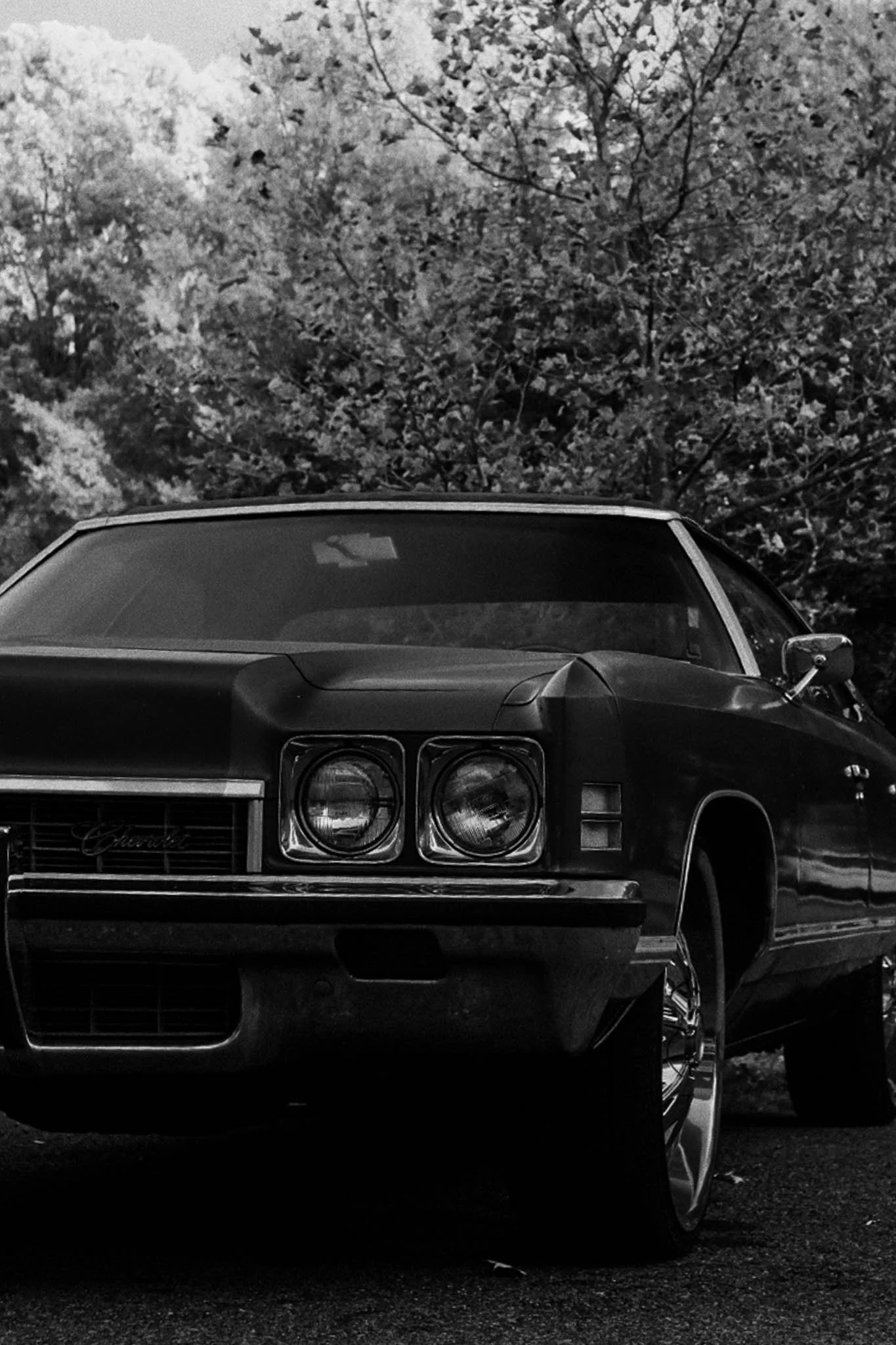 A classic black car parked outdoors against a background of trees with bare branches.