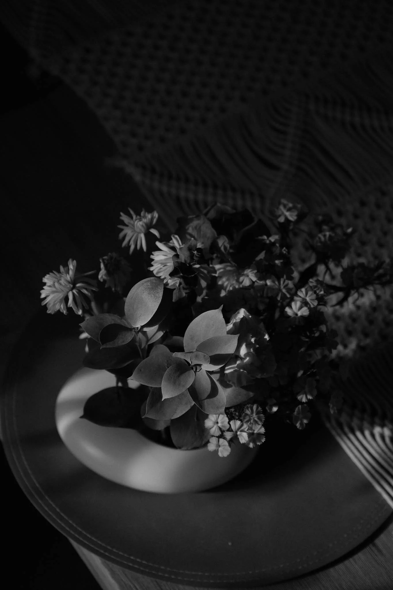 Black and white photo of a potted plant with small flowers on a tray, with a checkered cloth partially covering it.