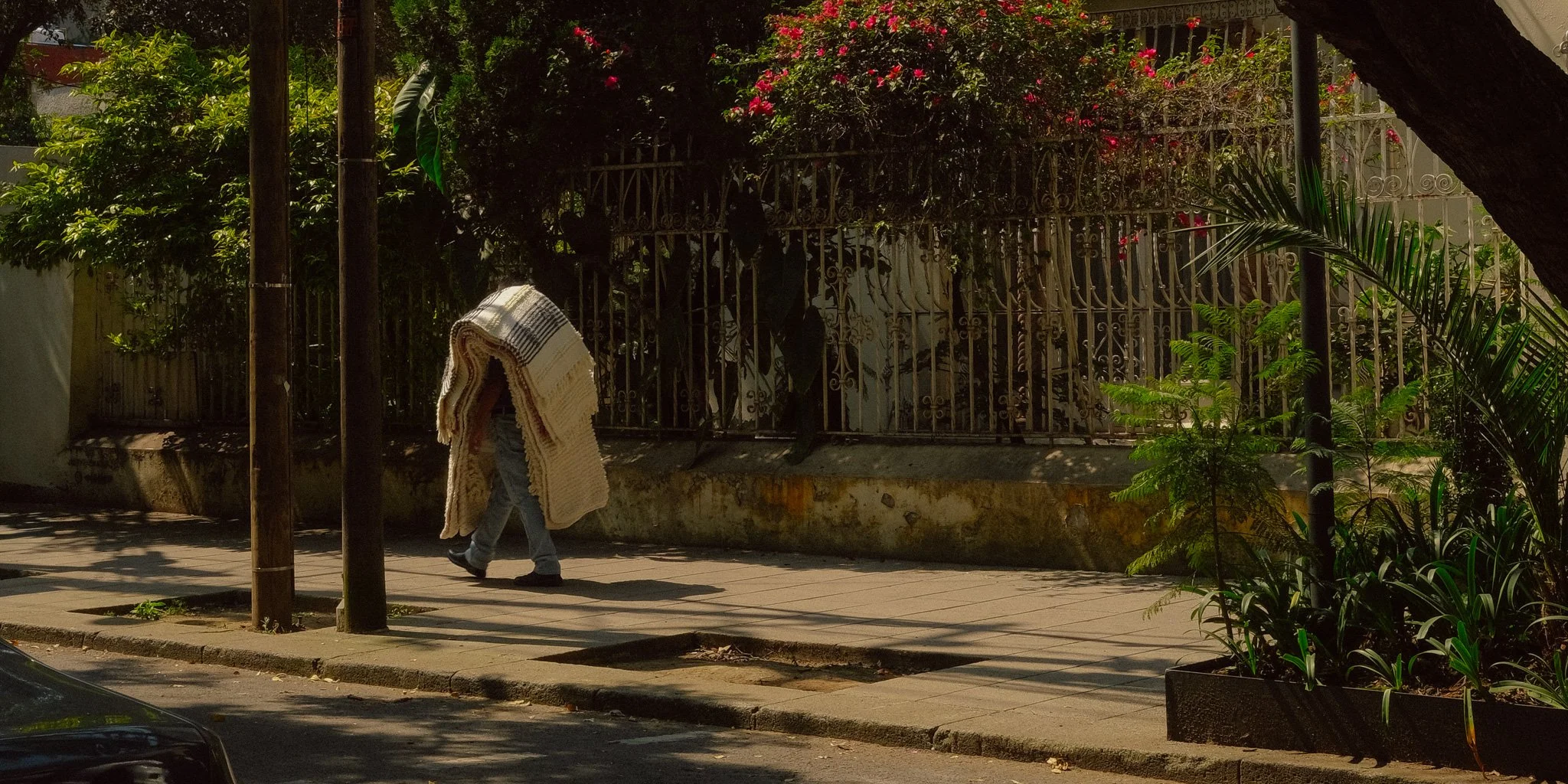 A person walking on a sidewalk carrying a large blanket, with a background of greenery, flowers, and a metal fence.