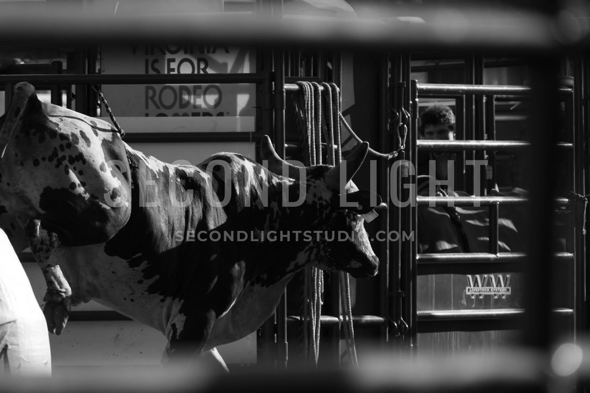 SecondLight_Rodeo_002.jpg-49.jpg