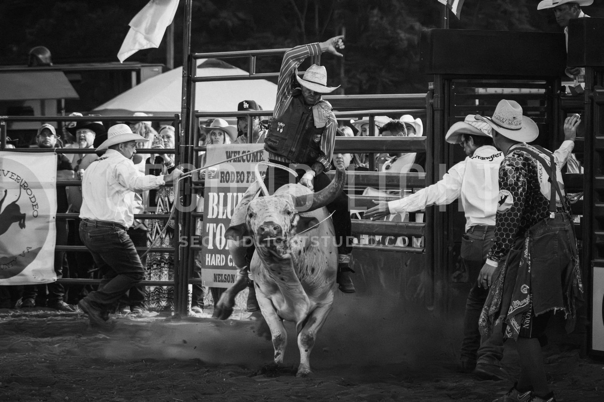 SecondLight_Rodeo_002.jpg-130.jpg