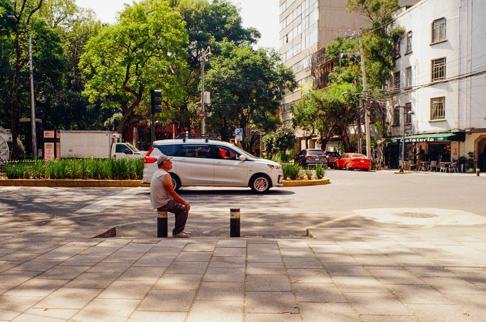 A woman sitting on a wheelchair in the sidewalk of a city street, with cars passing by and trees lining the street in the background.