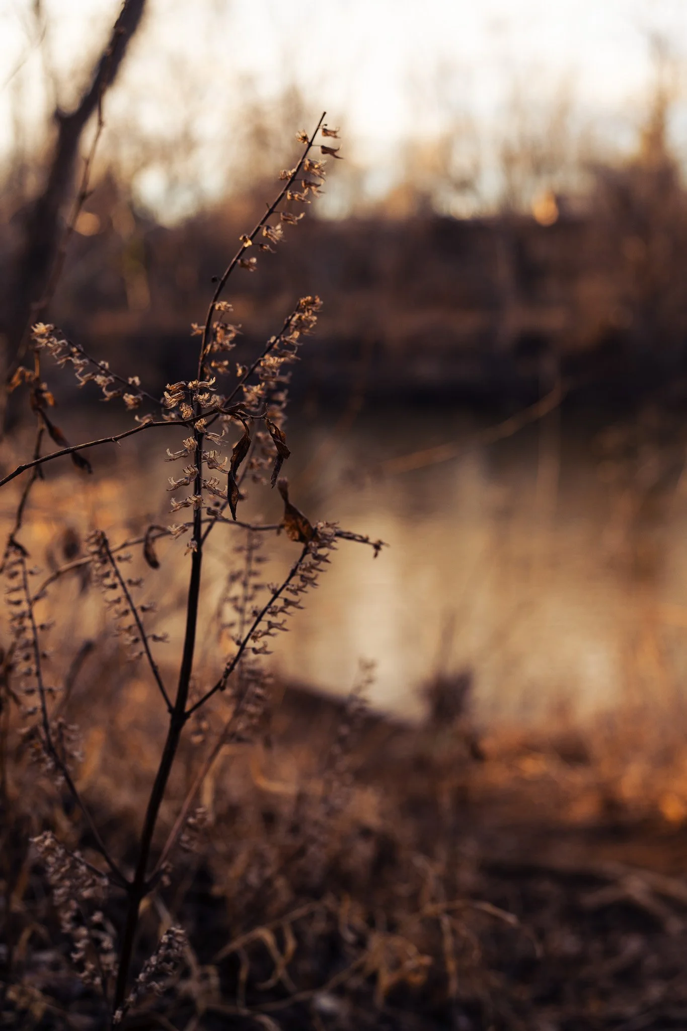 DSC00848.jpg