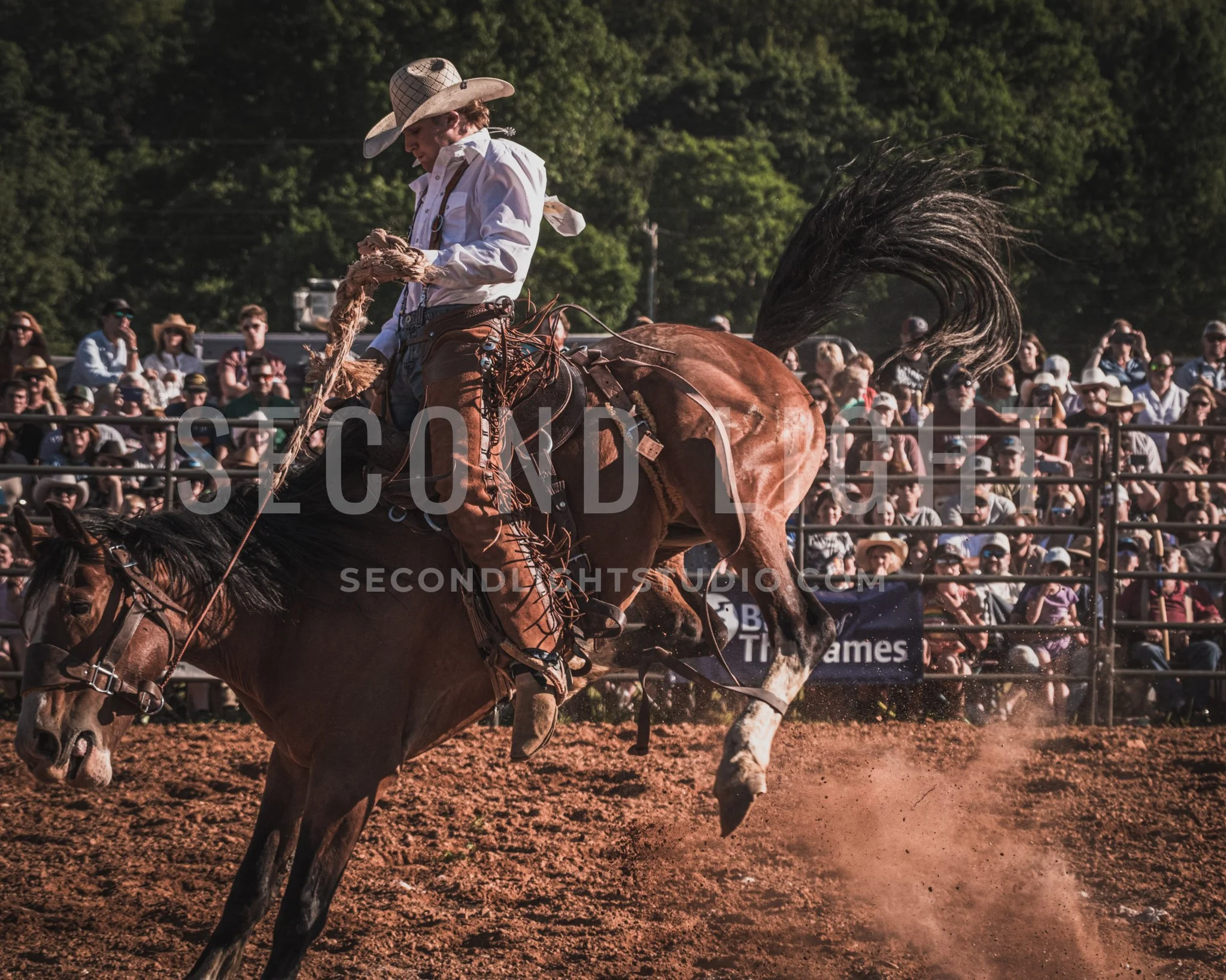 SecondLight_Rodeo_002.jpg-30.jpg