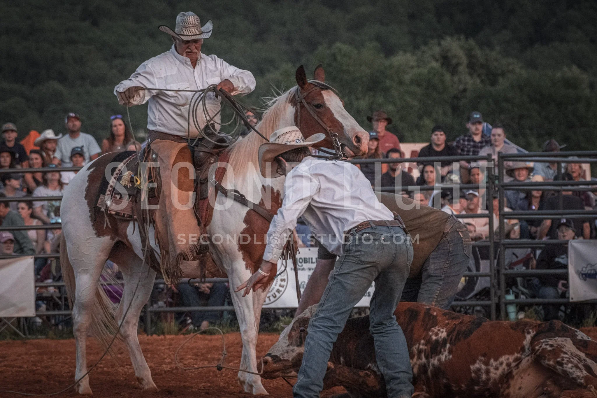 SecondLight_Rodeo_002.jpg-113.jpg
