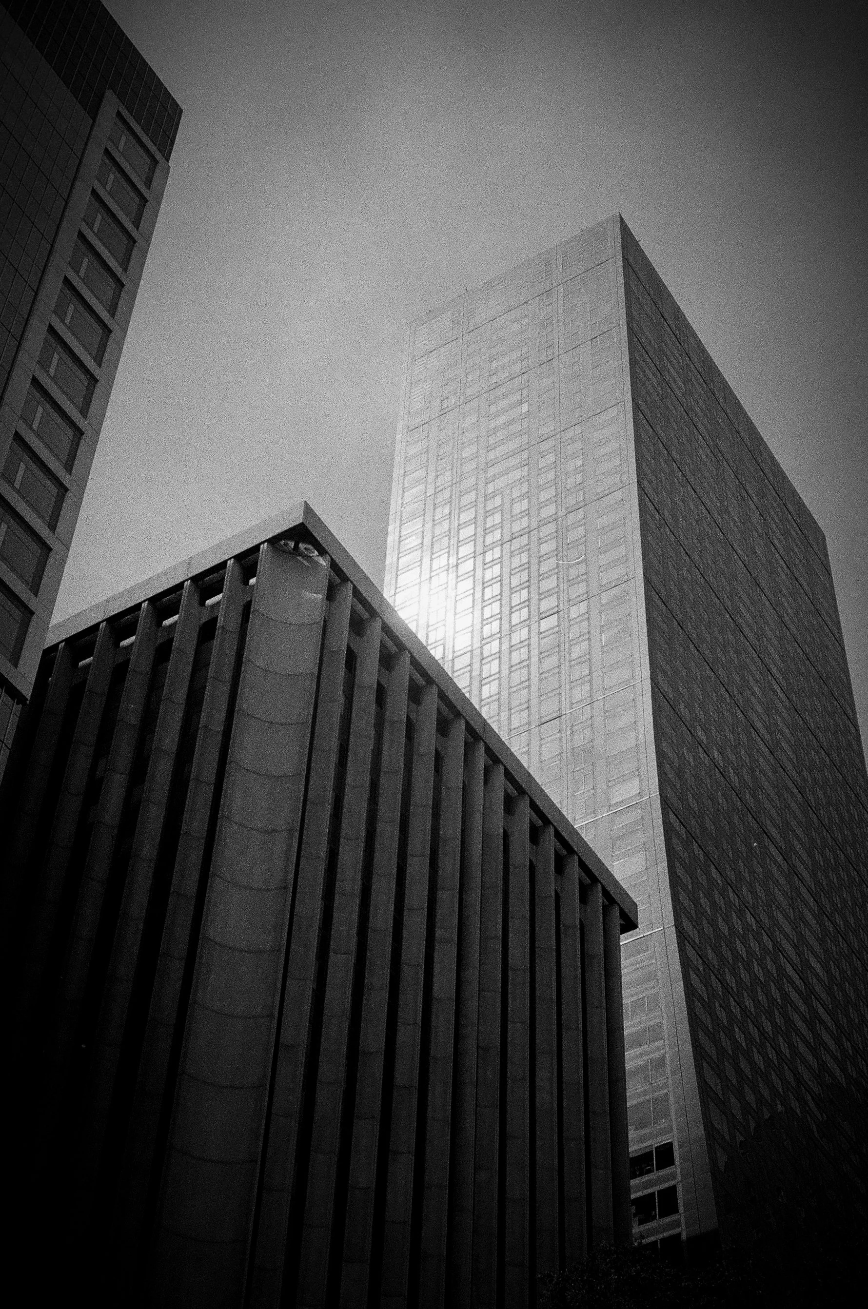 Black and white photo of tall skyscrapers in a city, taken from below during daylight, with the sun reflecting off the glass windows of the buildings.
