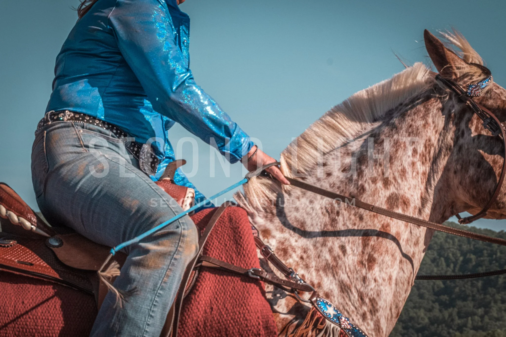 SecondLight_Rodeo_002.jpg-11.jpg
