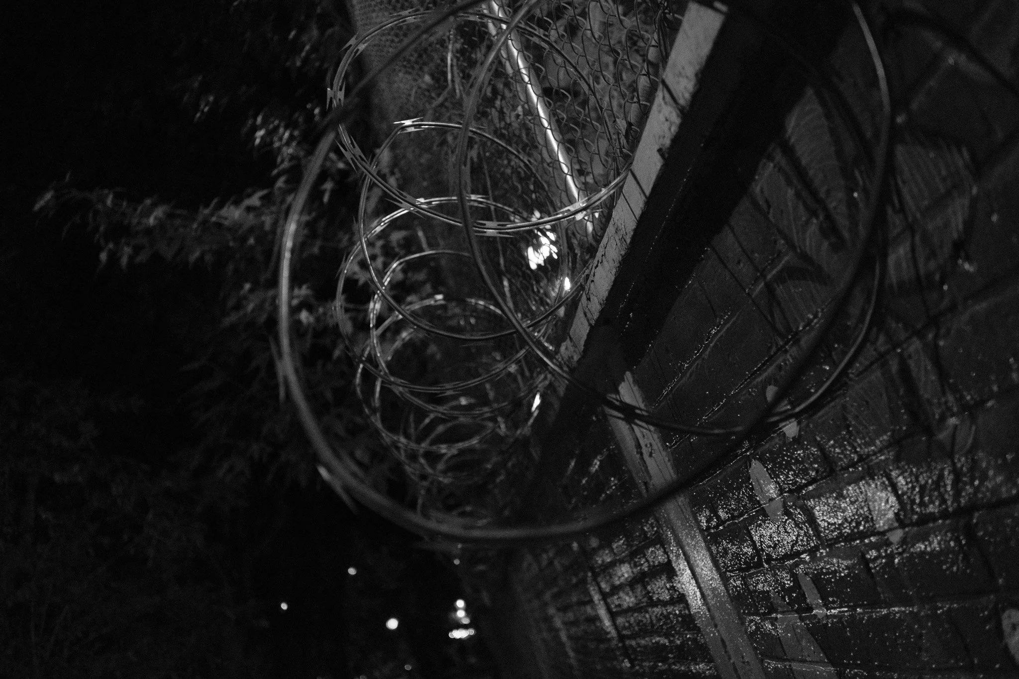 Coiled barbed wire fence on a wet brick wall at night with trees and streetlights in the background.