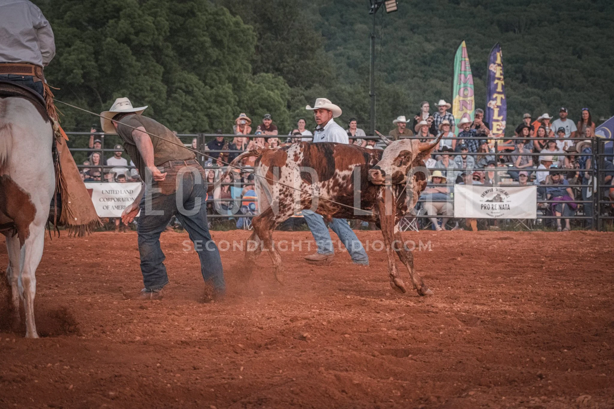 SecondLight_Rodeo_002.jpg-109.jpg