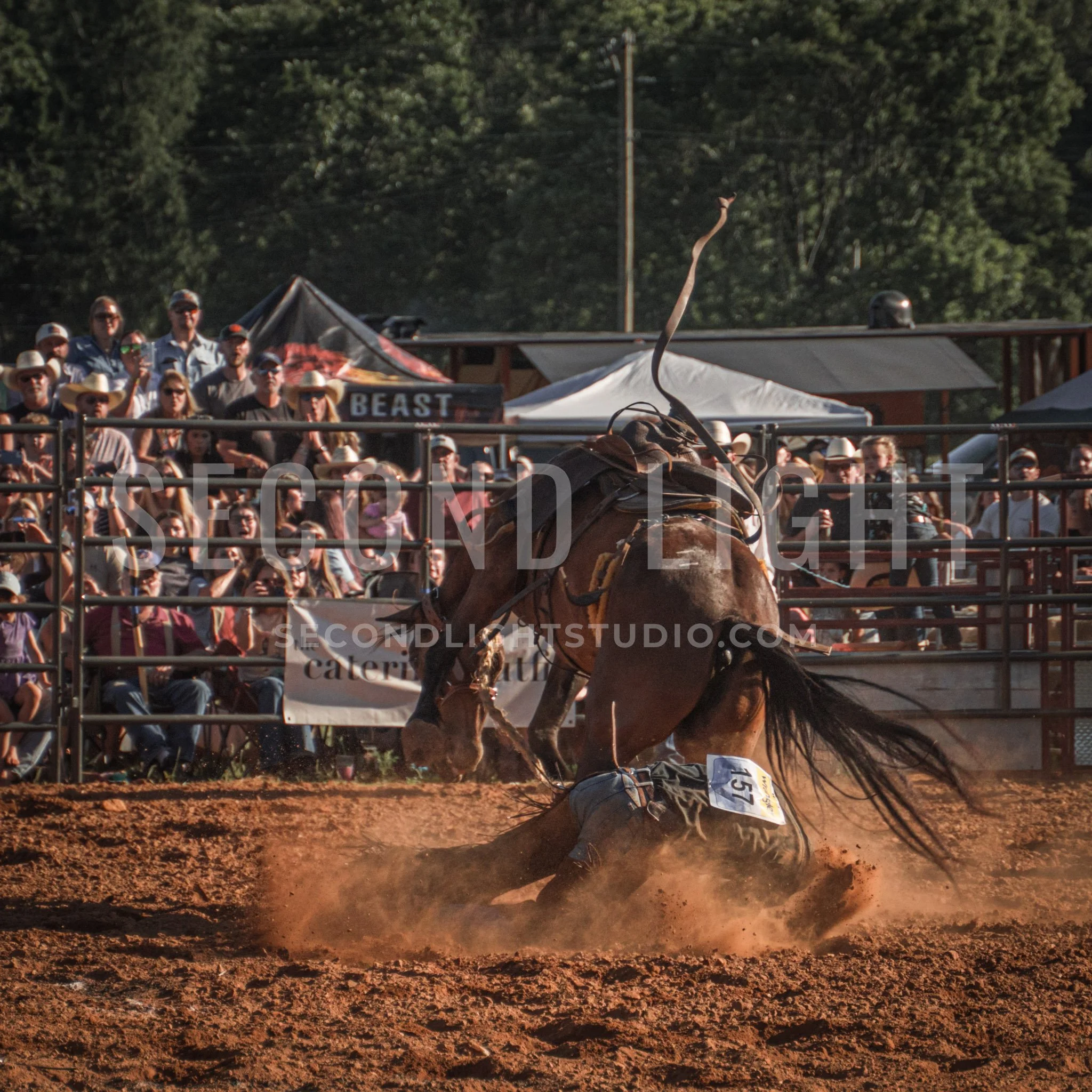 SecondLight_Rodeo_002.jpg-18.jpg