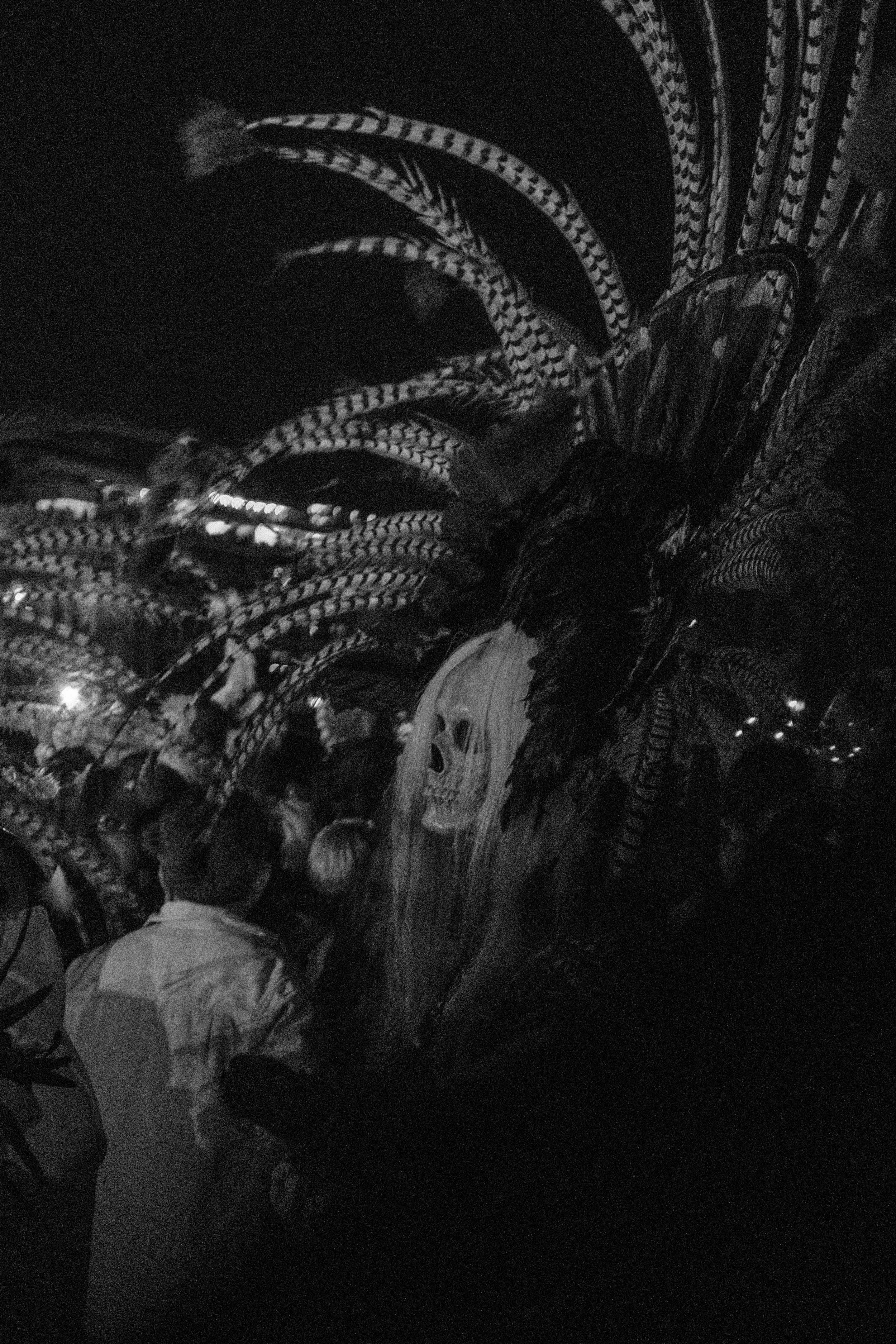 A person standing in front of a decorative display of feathers, skull, and foliage at night.