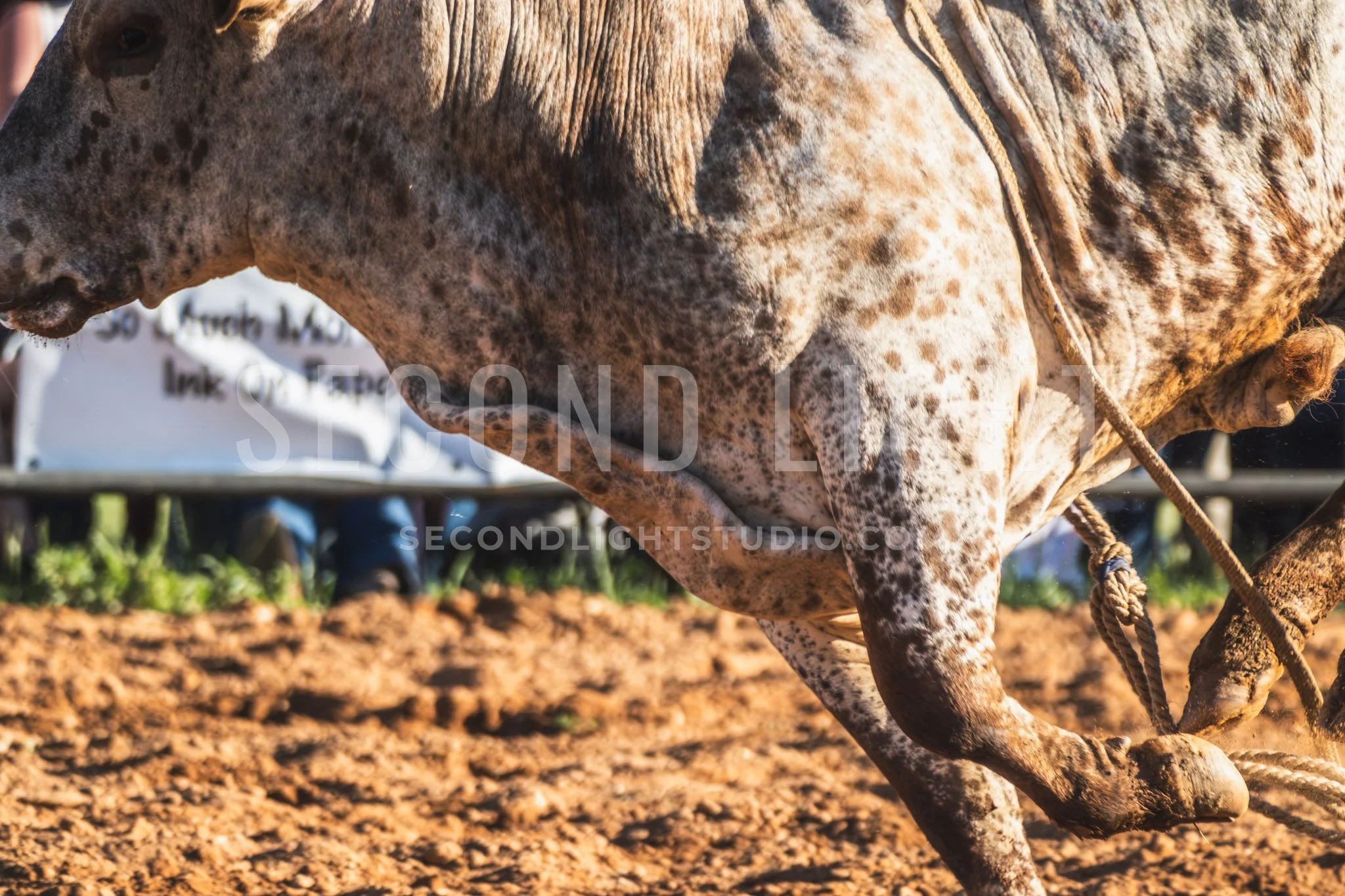 SecondLight_Rodeo_002.jpg-55.jpg