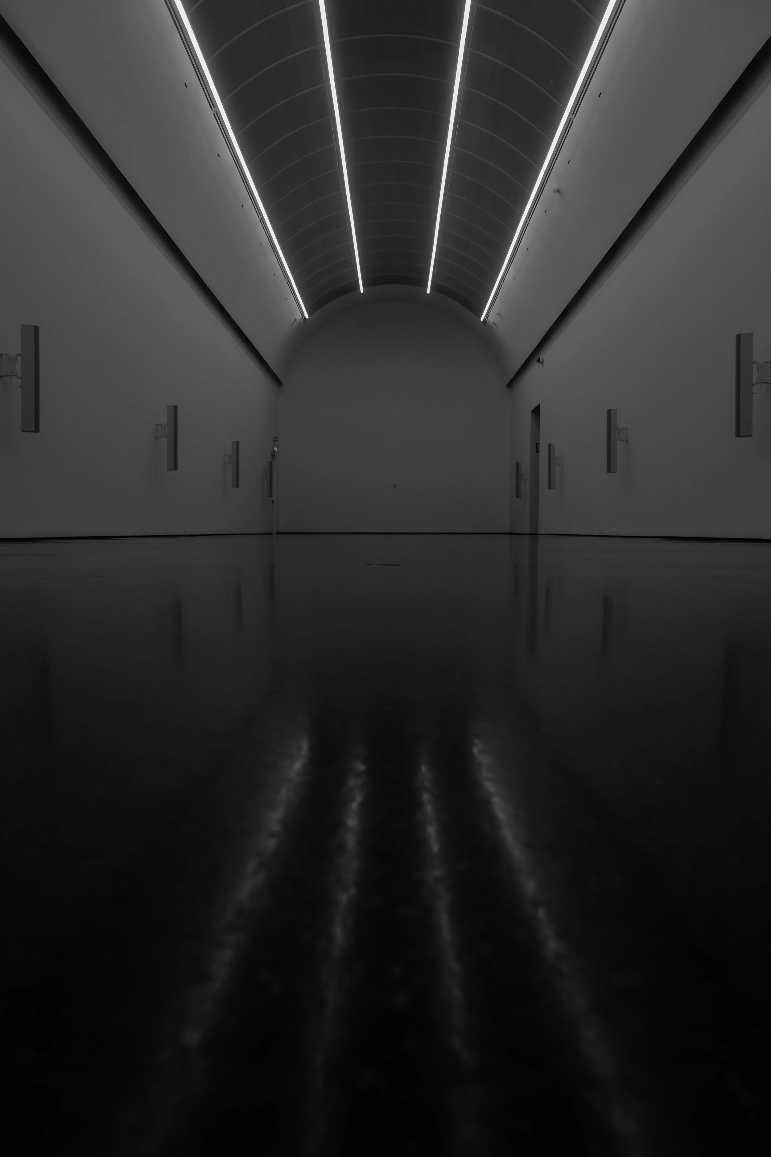 A dark, empty hallway with a curved ceiling and linear lighting on top, with reflections on the shiny floor.