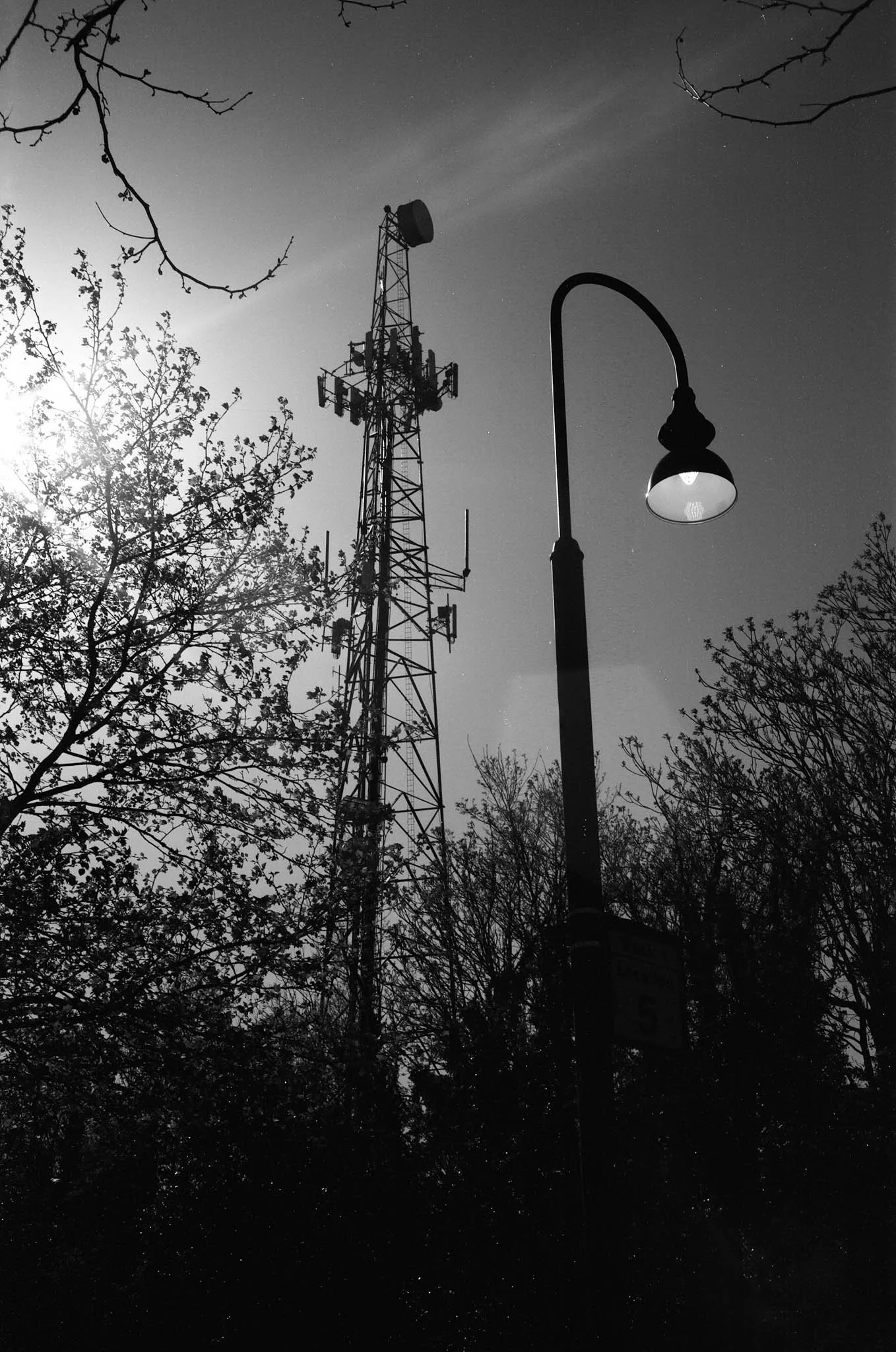 Black and white photo of a streetlamp and a large radio tower among trees, with the sun shining brightly in the background.
