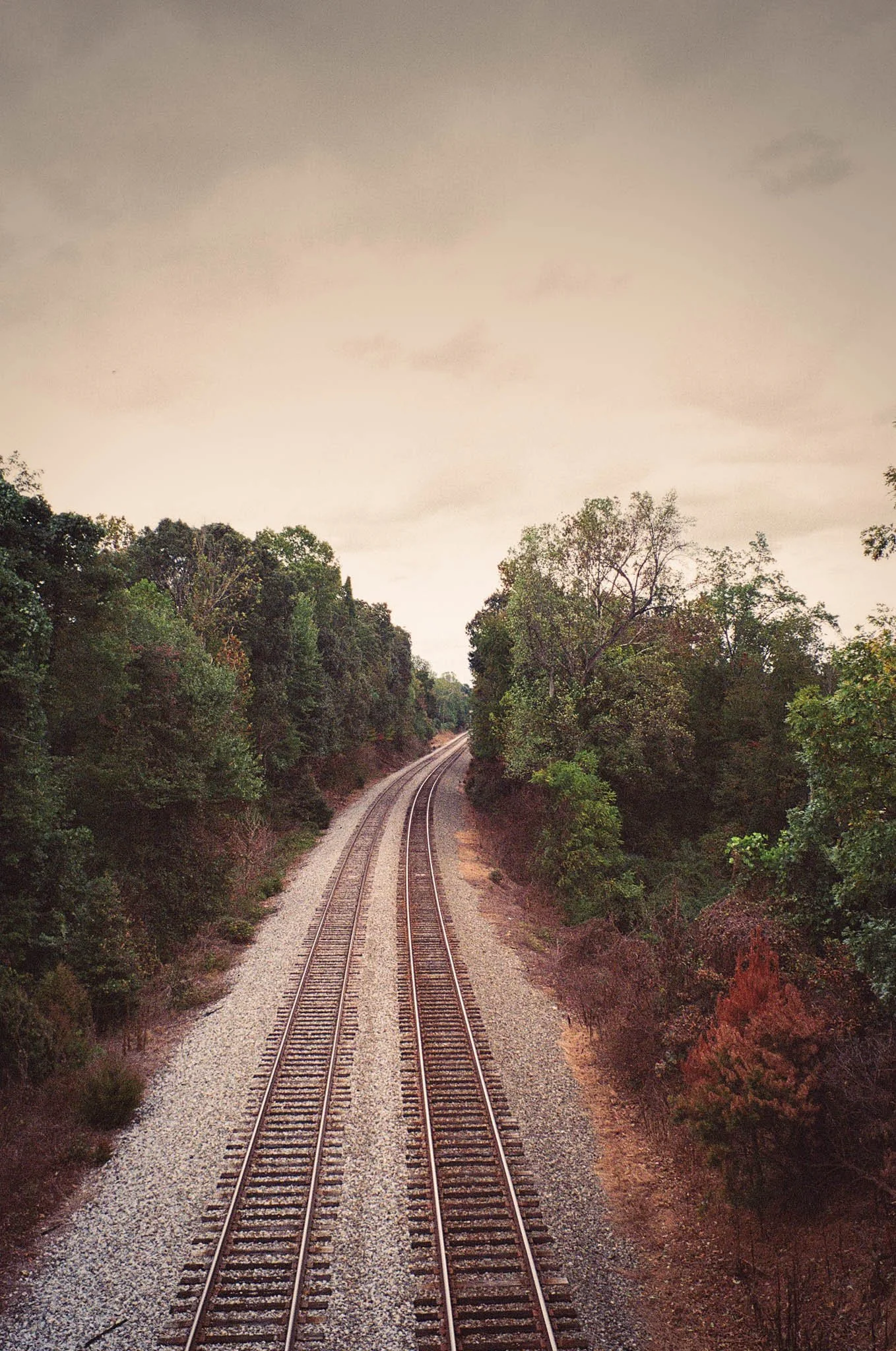 Photo of train tracks curving through a wooded area under a cloudy sky.