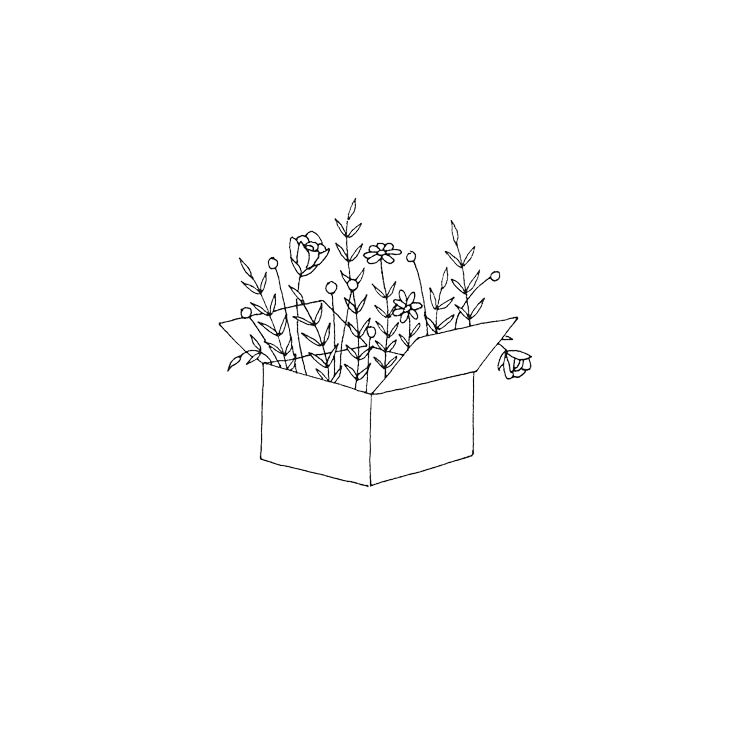 Line drawing of an open box with various plants and flowers growing out of it against a dark background.