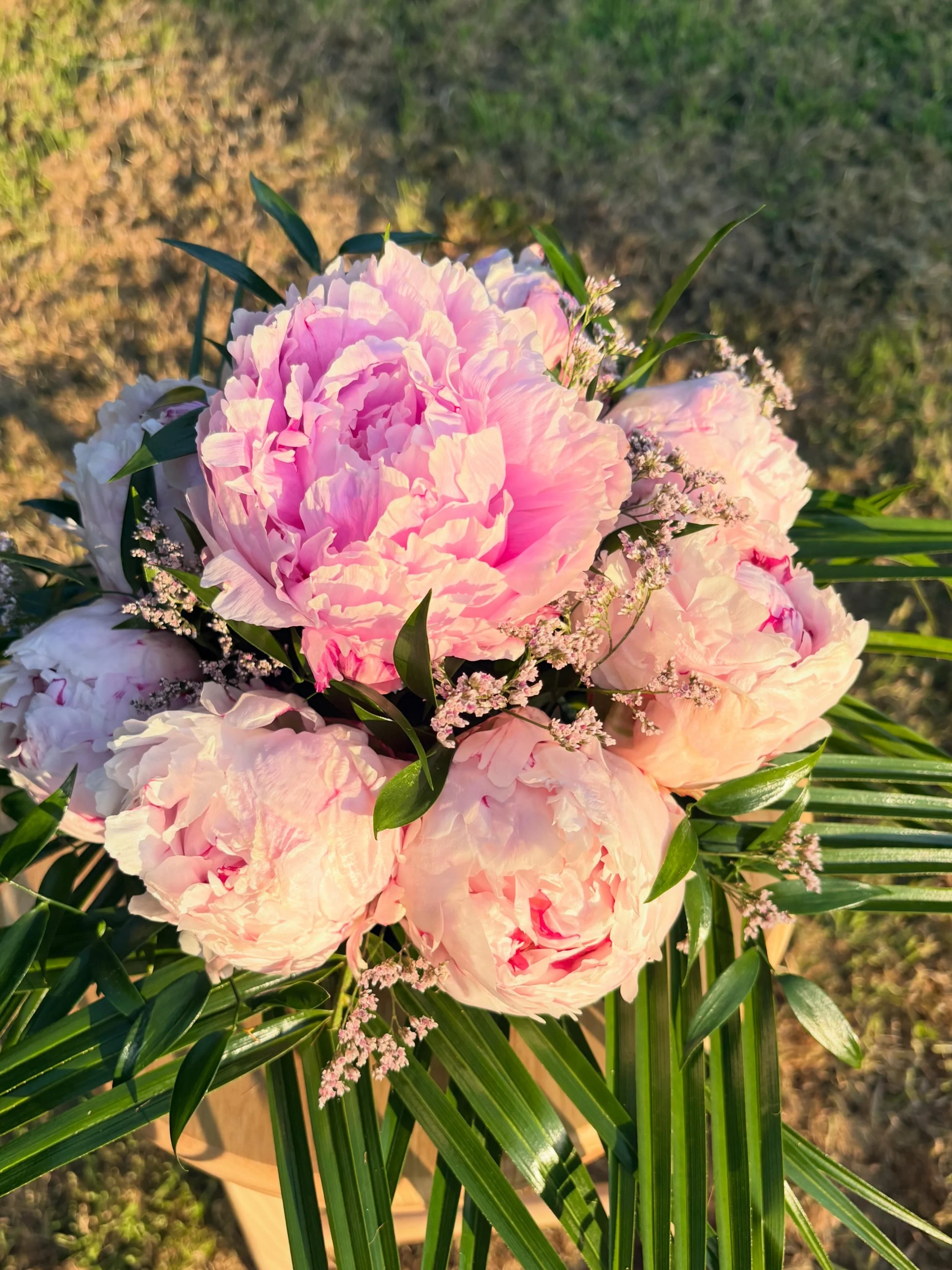 Pink peony flowers in a bouquet with green leaves and small white filler flowers, placed outdoors on a sunny day.