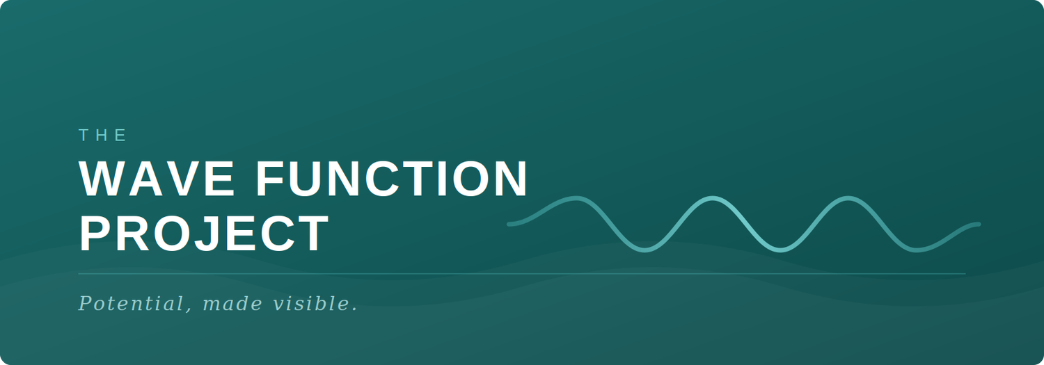The Wave Function Project  