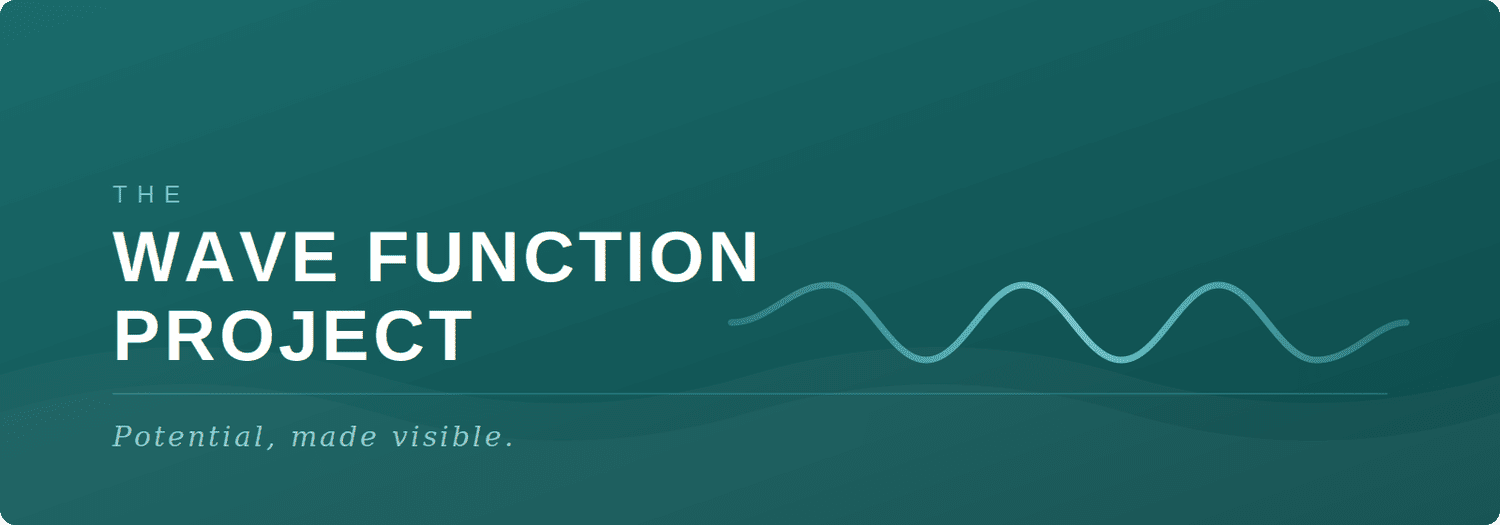 The Wave Function Project  
