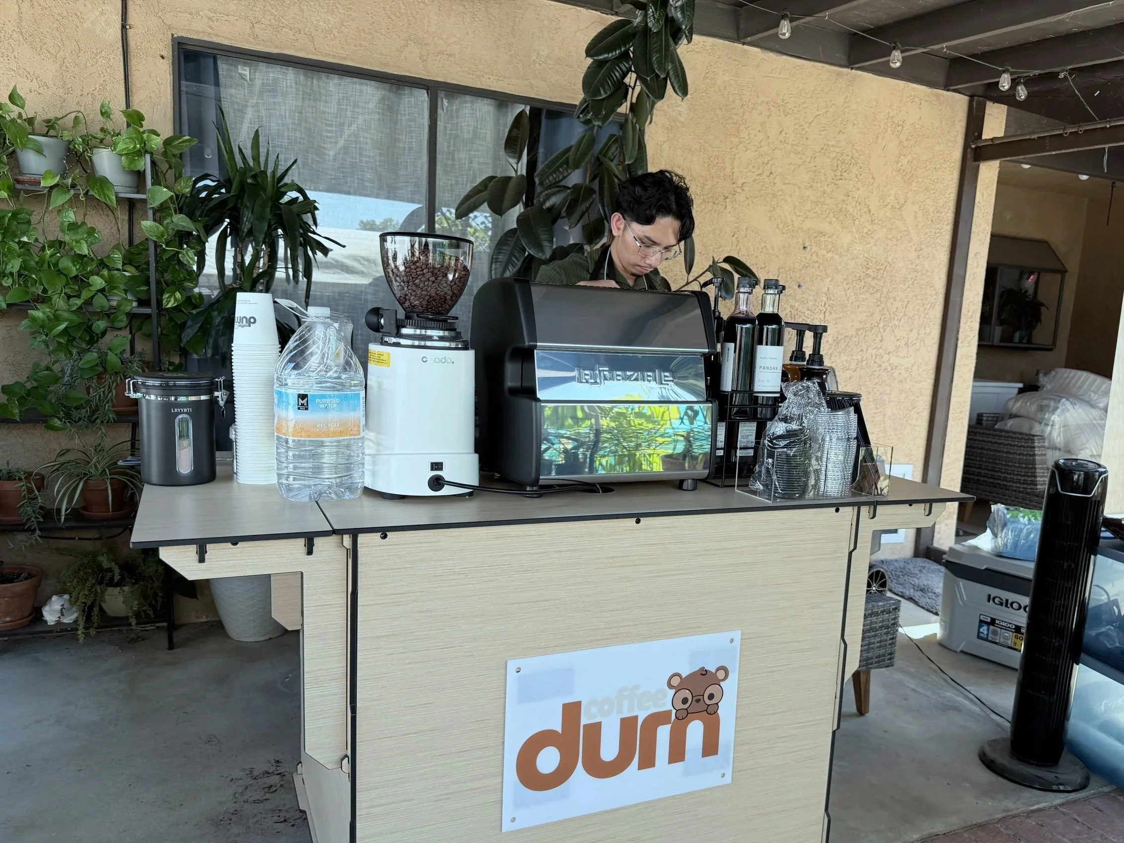 An outdoor coffee stand with a sign that says 'coffee dum' and a bear logo. The stand has various coffee supplies, including a coffee grinder, syrup bottles, cups, and a coffee machine. There are plants on the back wall and some household items under
