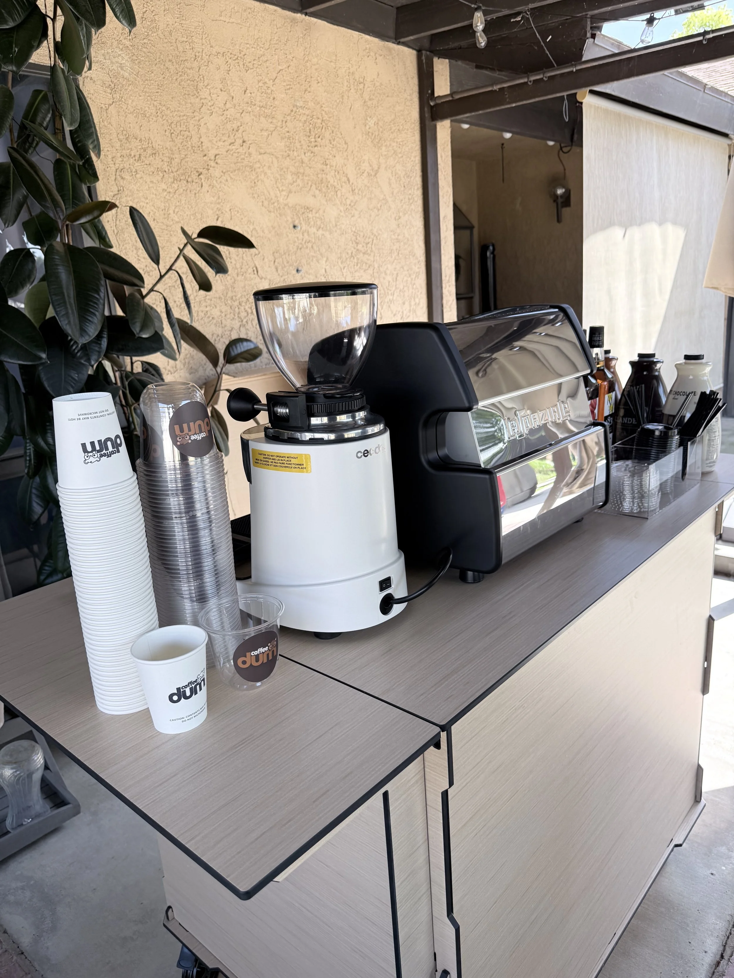 A coffee station on a counter with stacks of paper cups, a coffee grinder, a cash register, and various bottles and containers. There is a plant on the left and a beige wall in the background.