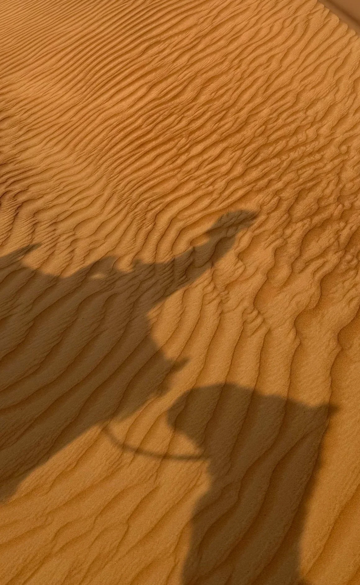 Sharjah, UAE