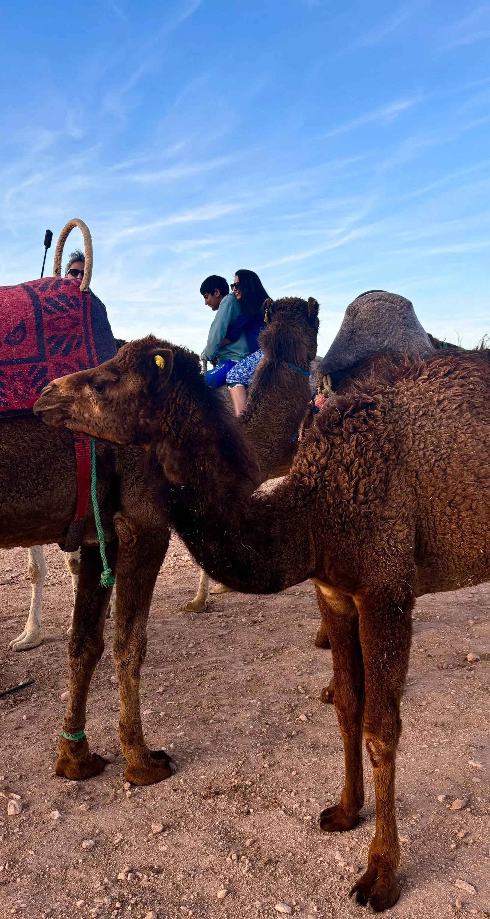 Agafay Desert, Morocco